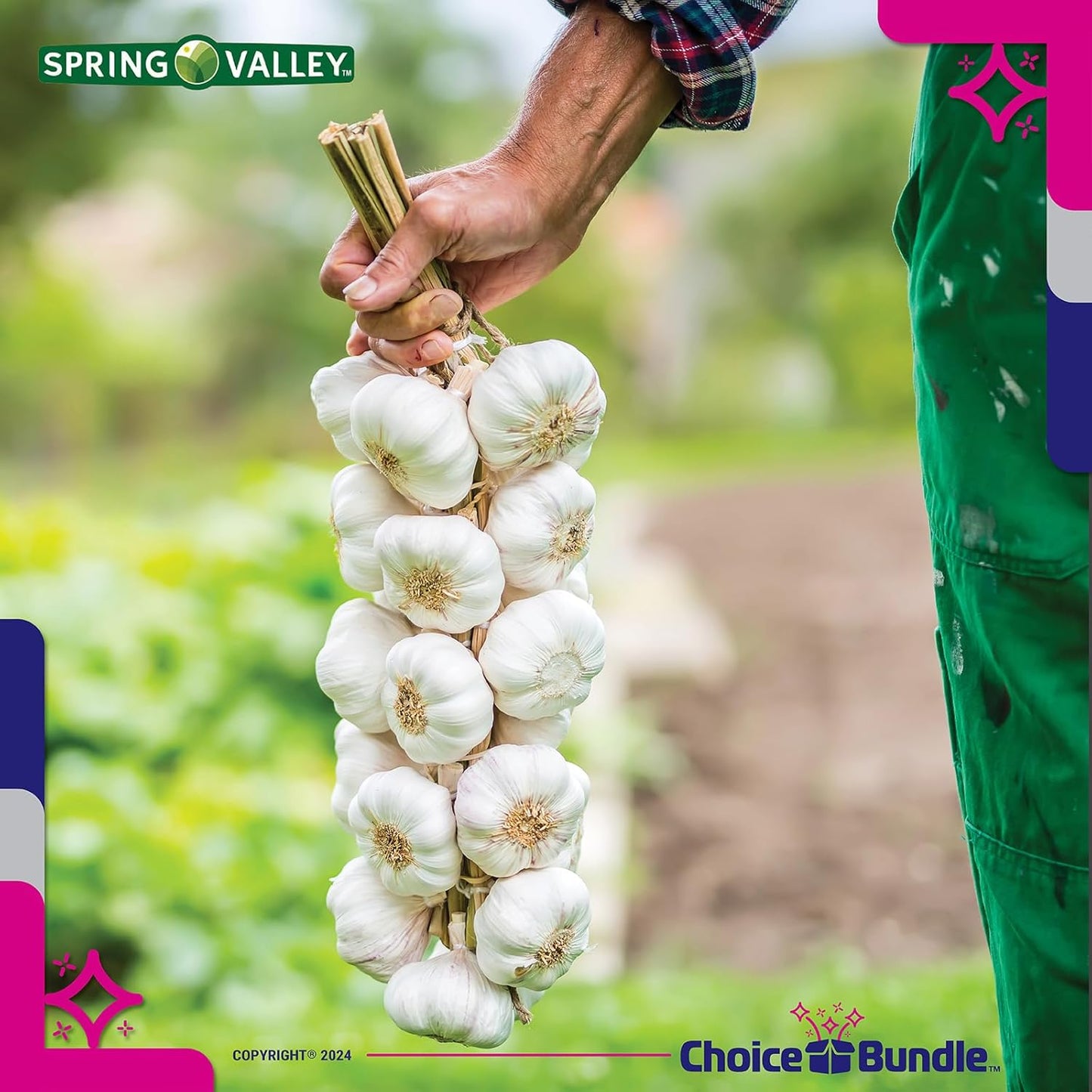 Garlic Softgels Bundle with Odor Control, 1,000mg 200 CT - 3 Pack + Vitamin Guide & Pill Container - 600 Total