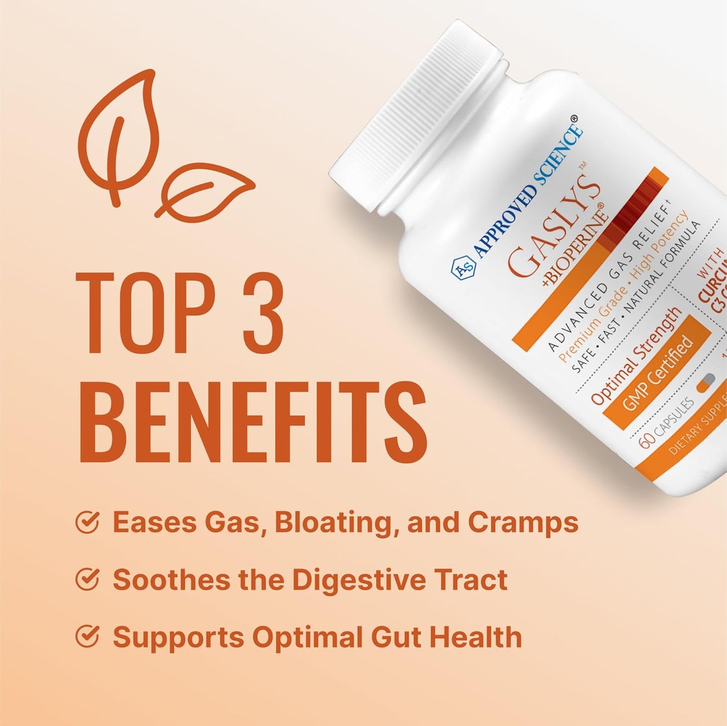 Gaslys™ Digestive Support Supplement - Relieve Gas and Stomach Cramps - Artichoke, Ginger, Fennel - 60 Capsules