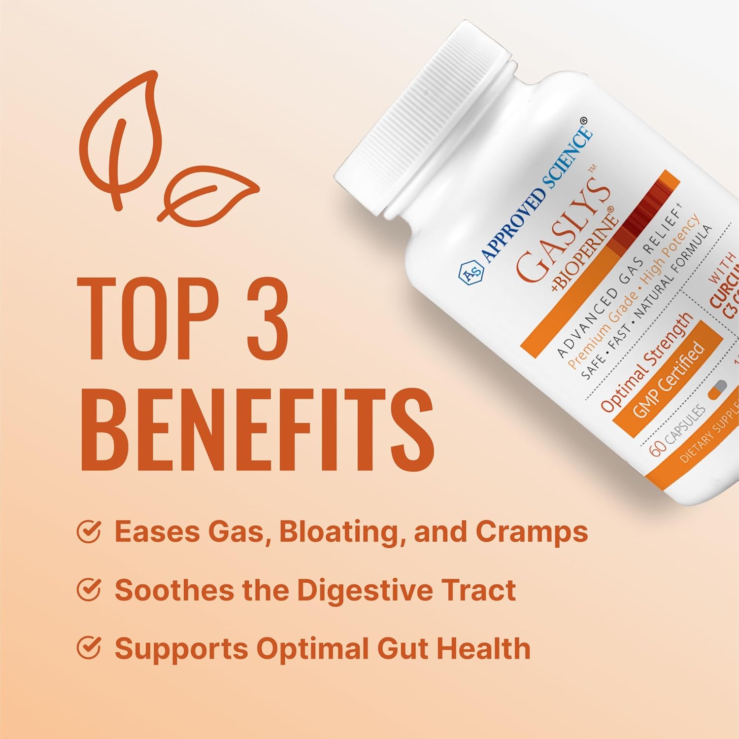 Gaslys™ Digestive Support Supplement - Relieve Gas and Stomach Cramps - Artichoke, Ginger, Fennel - 60 Capsules