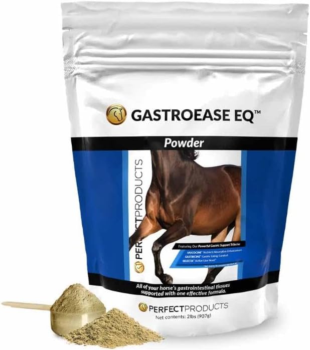 GastroEase EQ™ Complete Digestive Support Powder 2LB for Optimal Digestive Health