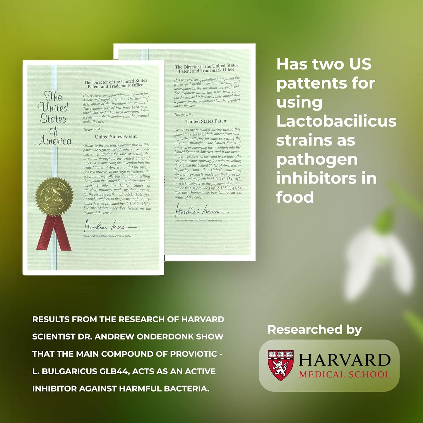 Genesis LABORATORIES Proviotic Lactobacillus Vegan Probiotic Supplement for Digestive Health & Immune Support - Pack of 5