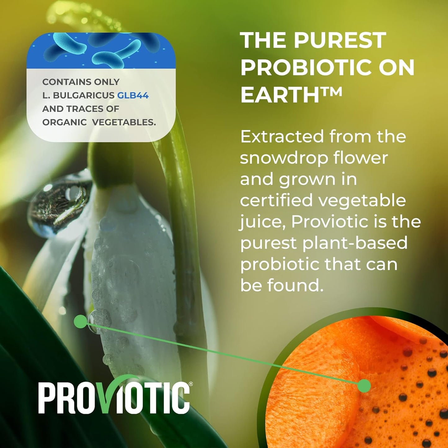 Genesis LABORATORIES Proviotic Lactobacillus Vegan Probiotic Supplement for Digestive Health & Immune Support - Pack of 5