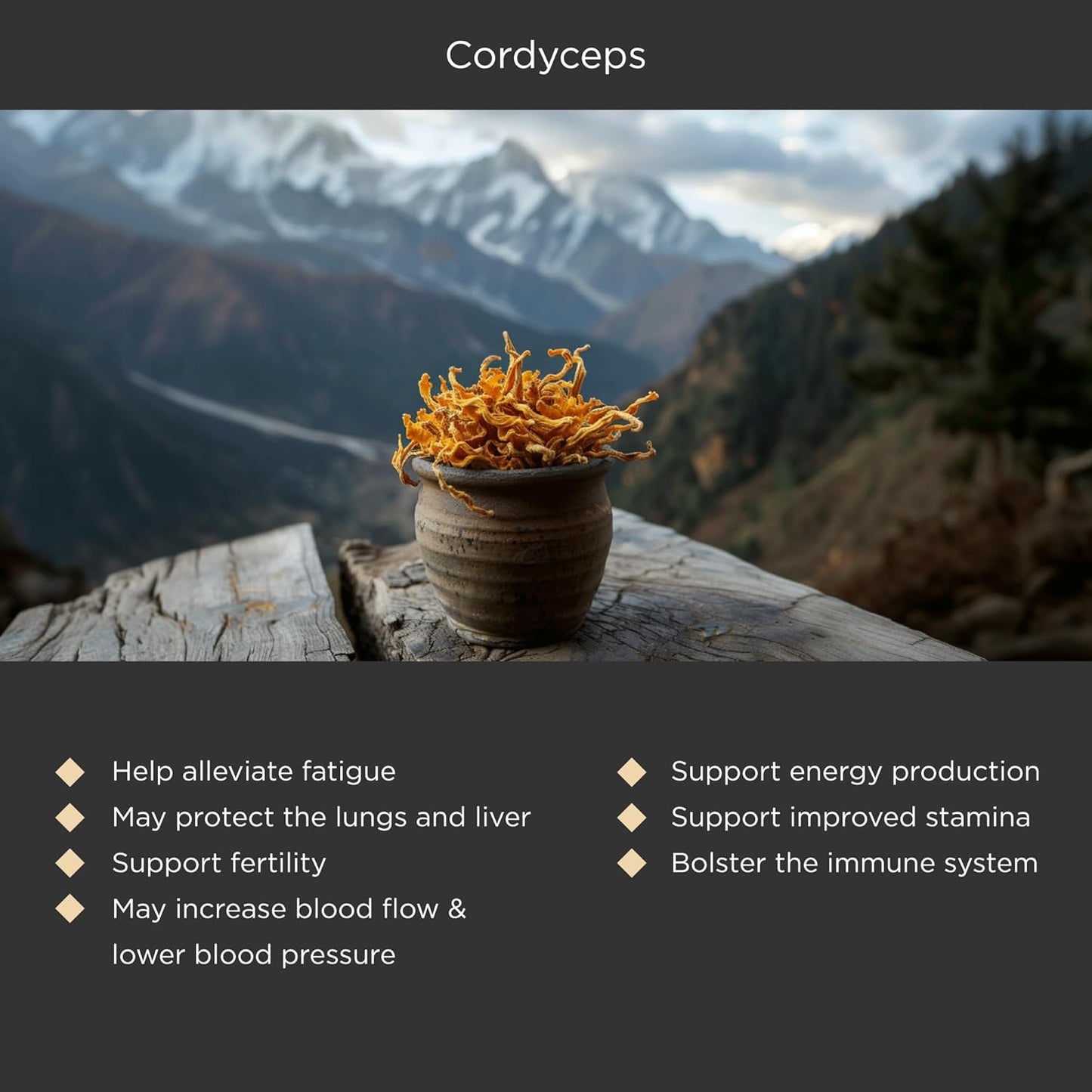 Genesis Nutrition Grass Fed Beef Liver with Reishi & Cordyceps Mushroom, Ginseng, Rhodiola - 4500mg Energy, Immune Support, Stress Relief - Total Wellness