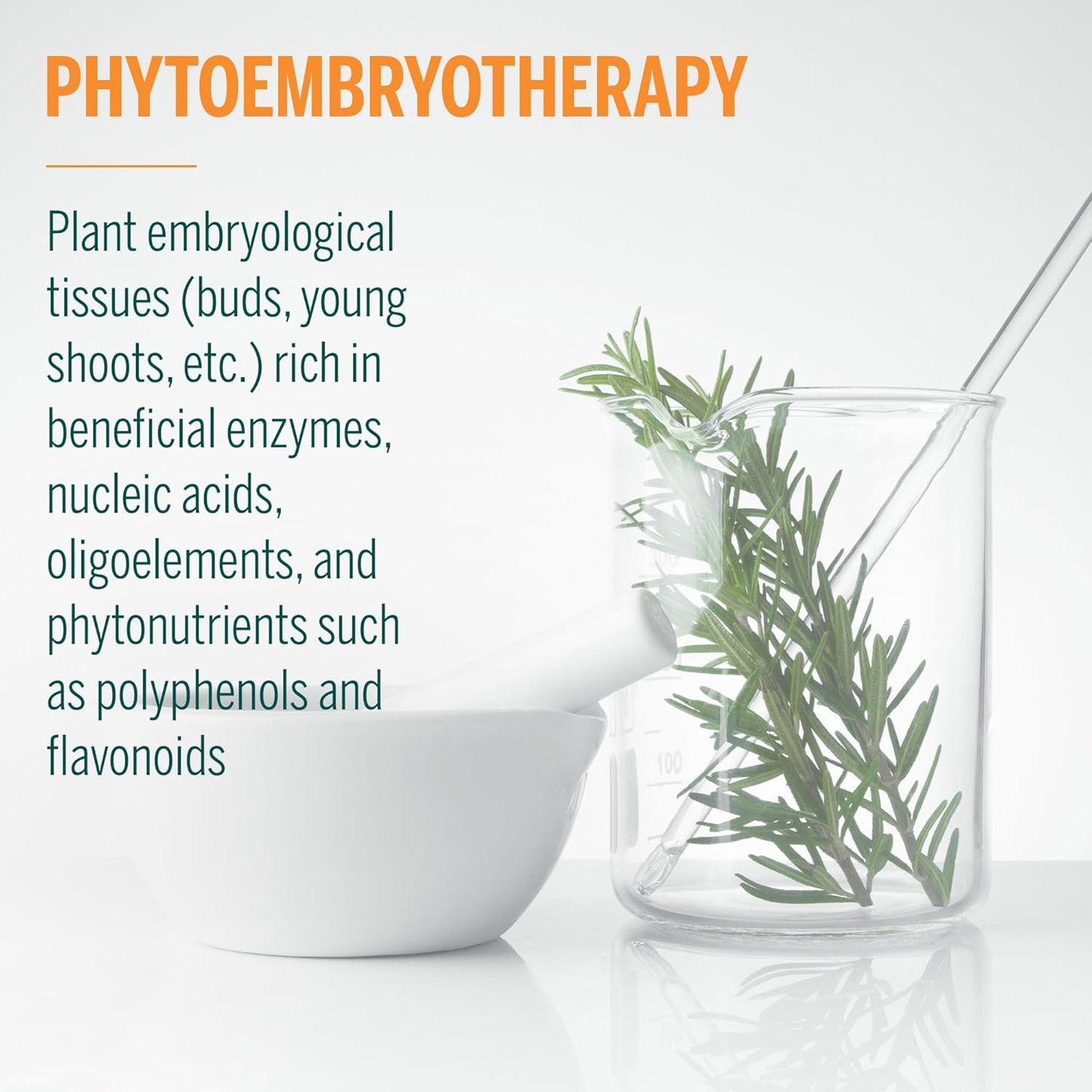 Genestra Brands Calm-gen Herbal Supplement with Silver Linden, Fig, and Hawthorn - 0.5 fl. oz.