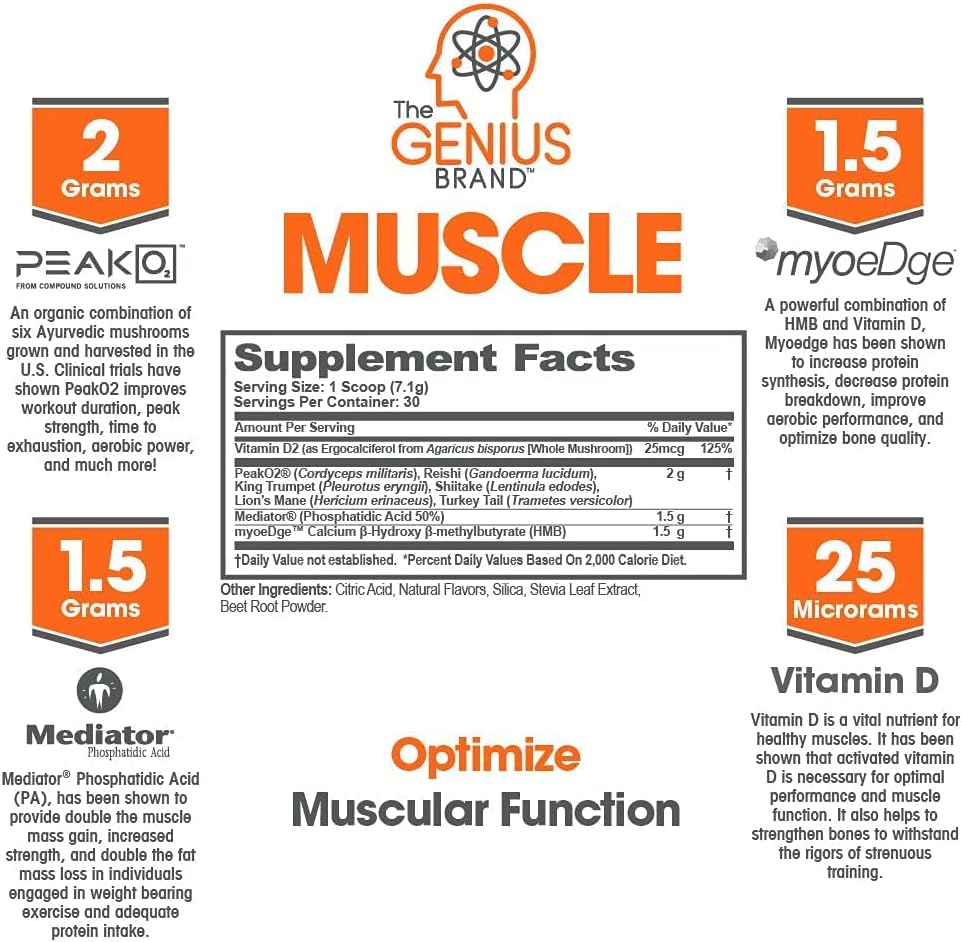 Genius Brand Smart Muscle Building Stack: Pre-Workout, BCAA, & Muscle Builder