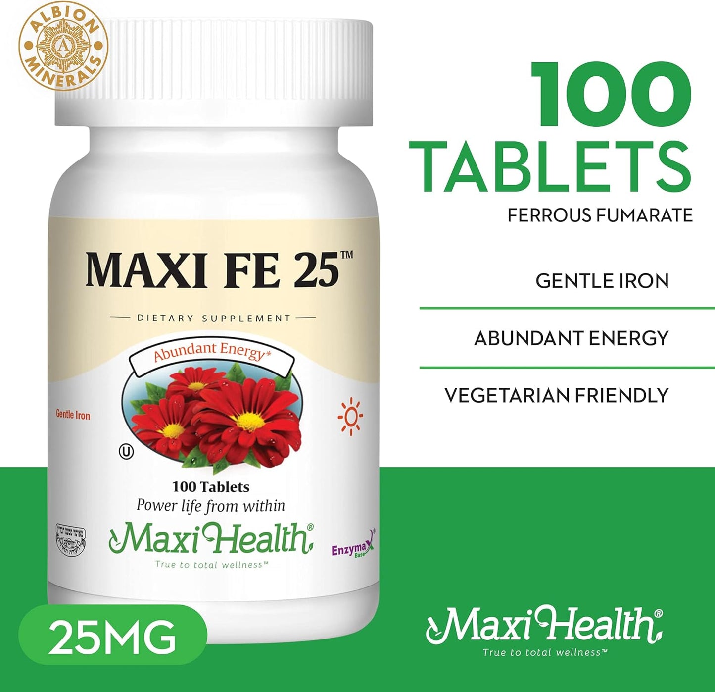 Gentle Iron 25 mg Supplement for Women & Men - Non Constipating Tablets - Kosher, Non GMO, Vegetarian - 100 Tablets