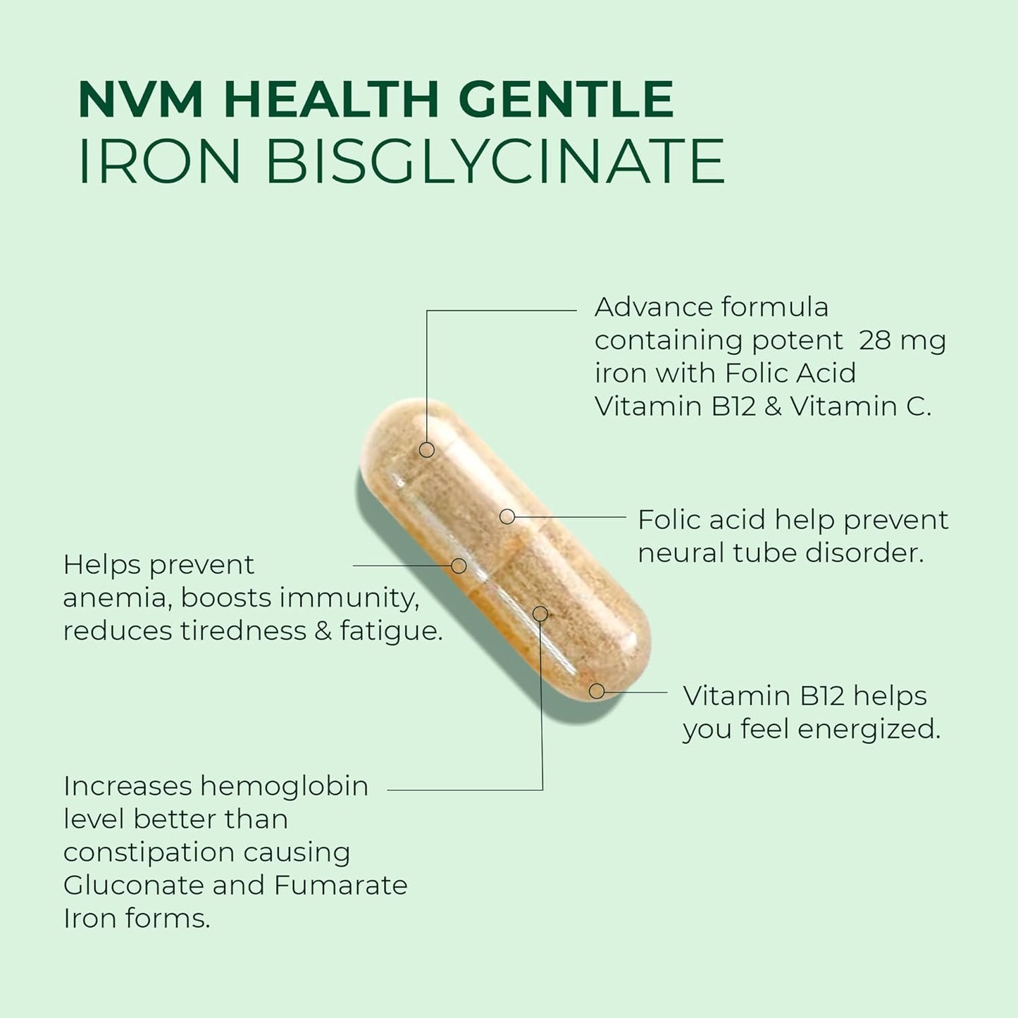 Gentle Iron Supplement with Vitamin C, B12, Folic Acid - Supports Red Blood Cells & Immunity - 90 Vegetarian Capsules