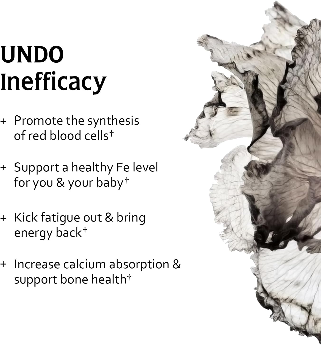 Gentle Iron Supplement with Vitamin C for Pregnancy, 100% Daily Value, Blood Builder, Vegan Capsules - Undone by Nature