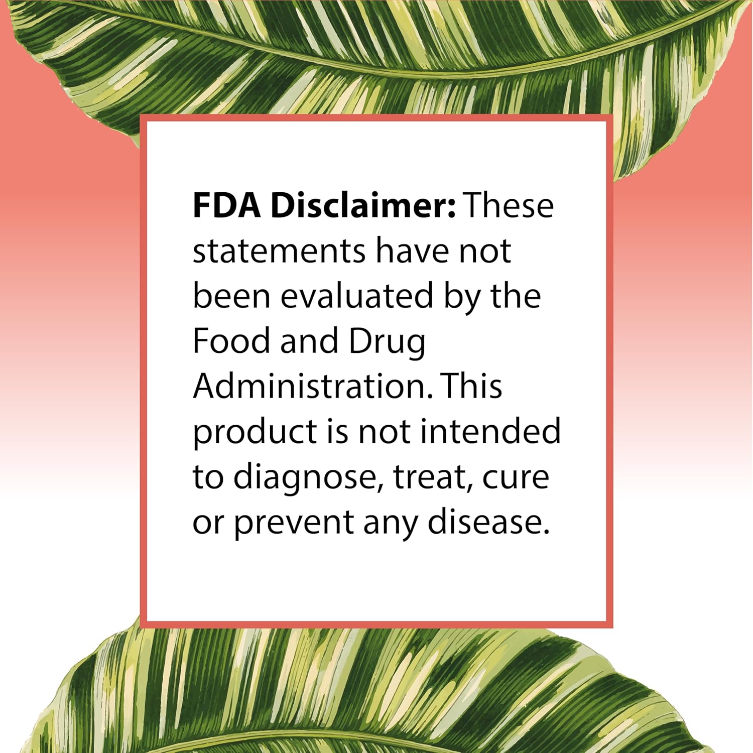 Gentle on the Stomach Vegan Zinc Supplement 50mg (100 Tablets) - Non GMO, Easy to Swallow Daily Vitamin for Adults by FORTE NATURALS