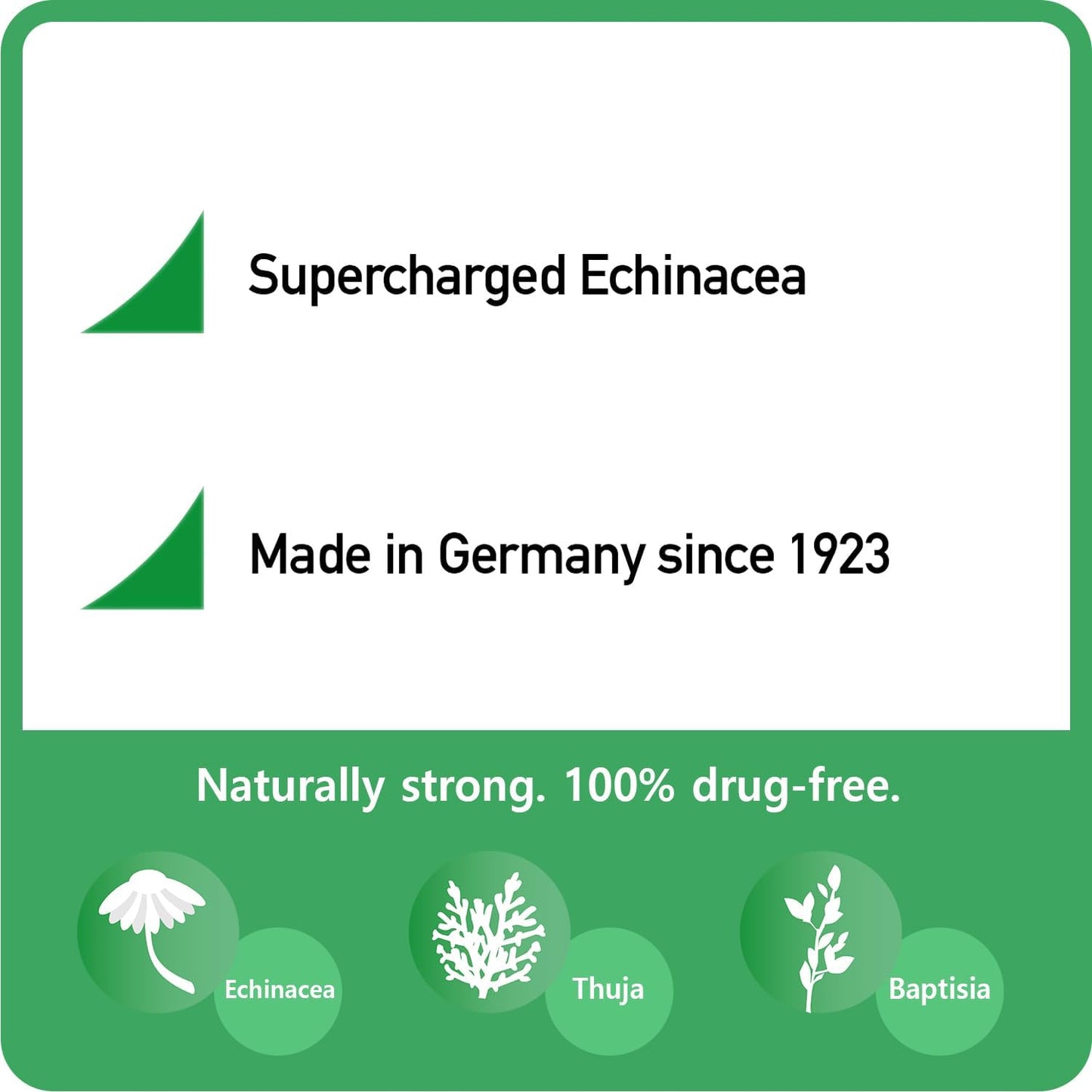 German-Made ESBERITOX Herbal Supplement with Echinacea for Immune Support - 100 Tablets - Wild Indigo Root & Purple Coneflower