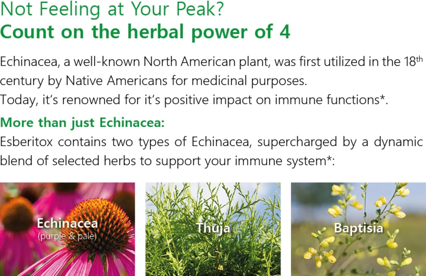German-Made ESBERITOX Herbal Supplement with Echinacea for Immune Support - 100 Tablets - Wild Indigo Root & Purple Coneflower