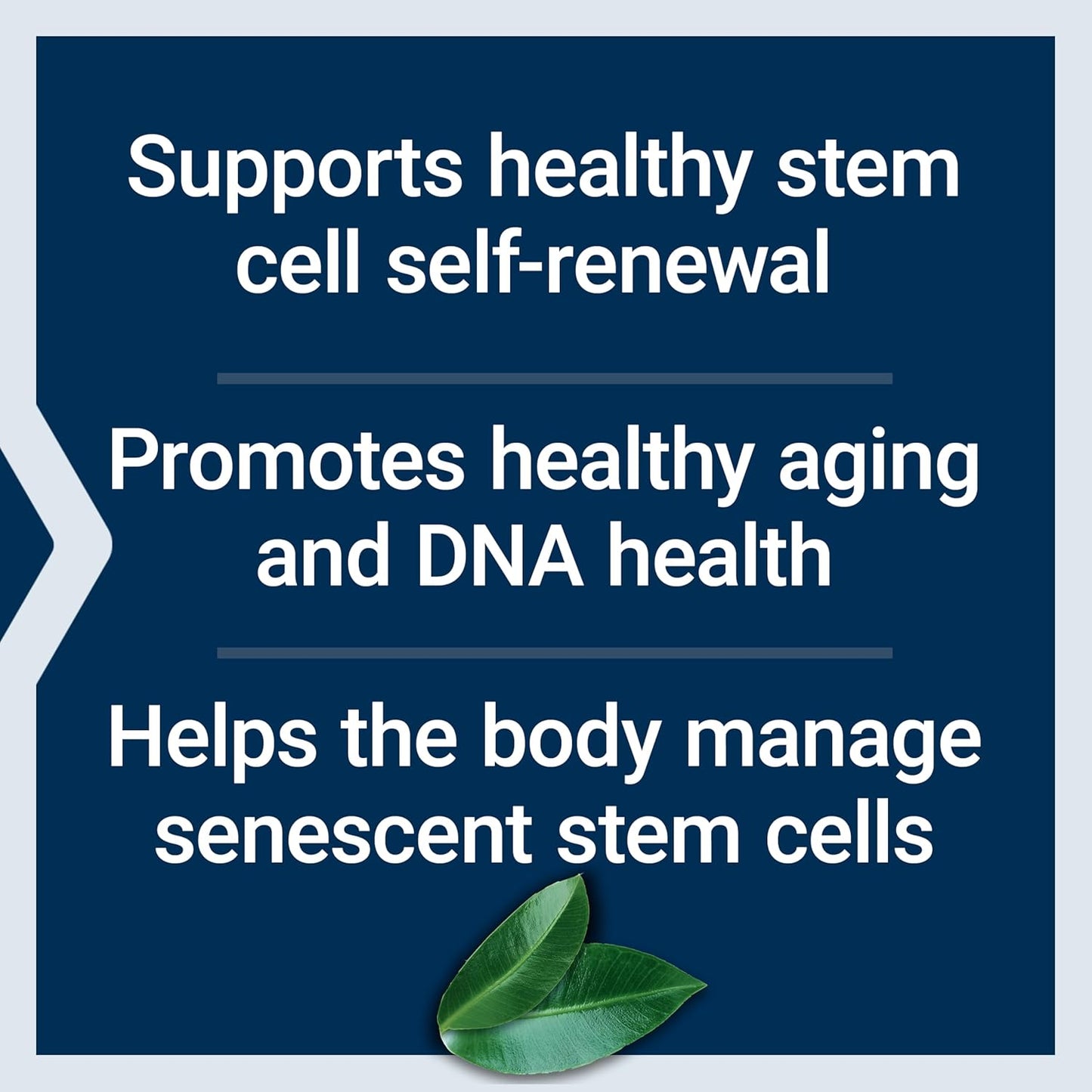 Geroprotect Stem Cell Supplement with Kokum & Passion Fruit Extracts, Trans-Resveratrol - 60 Capsules, Gluten-Free, Non-GMO, Vegetarian Formula for Healthy Cellular Renewal