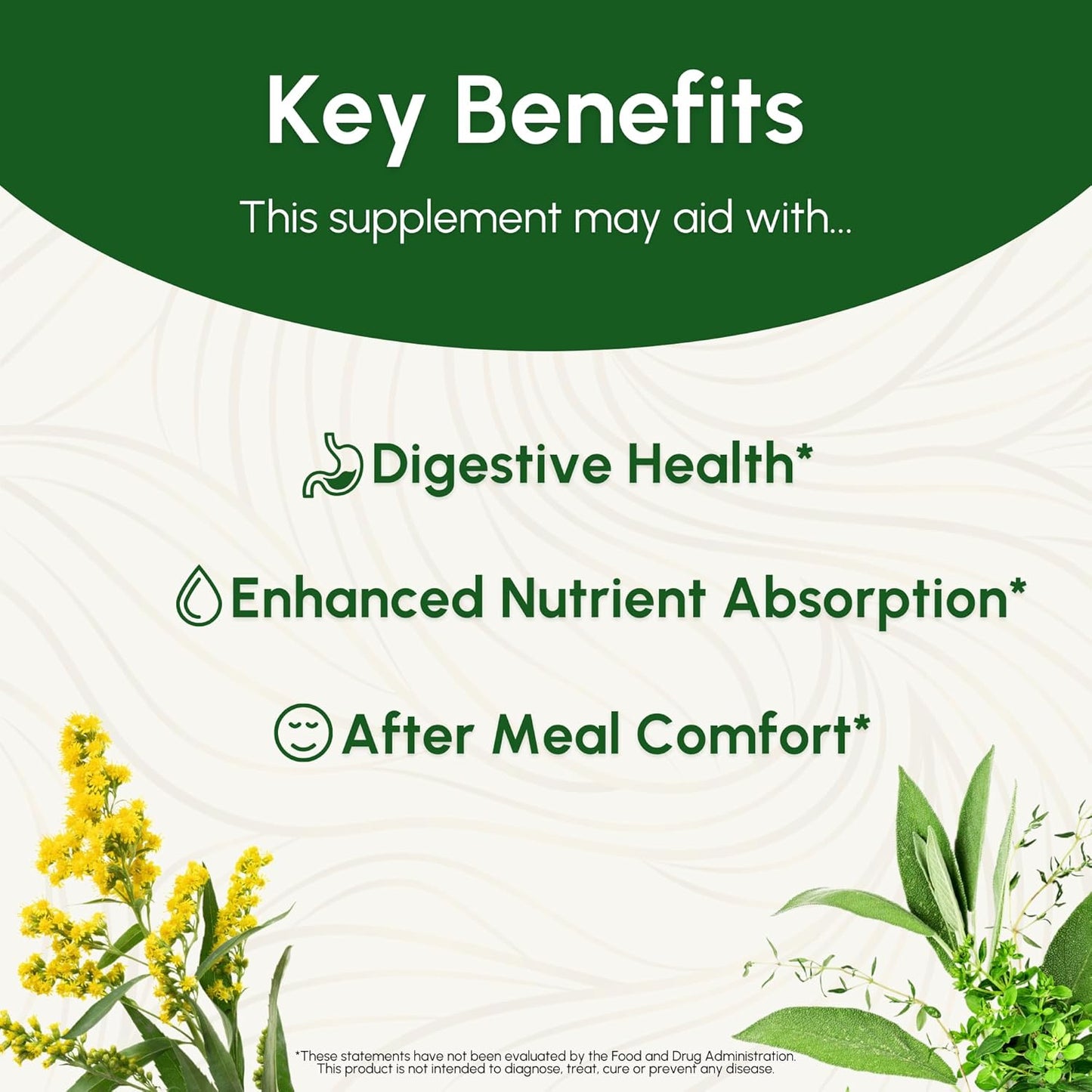 G.I. Feel Better Tincture - Gas & Bloating Support with Turmeric, Elecampane, Ginger, and Cardamom - Herbal Supplement for Digestive Health - 2 Fl Oz