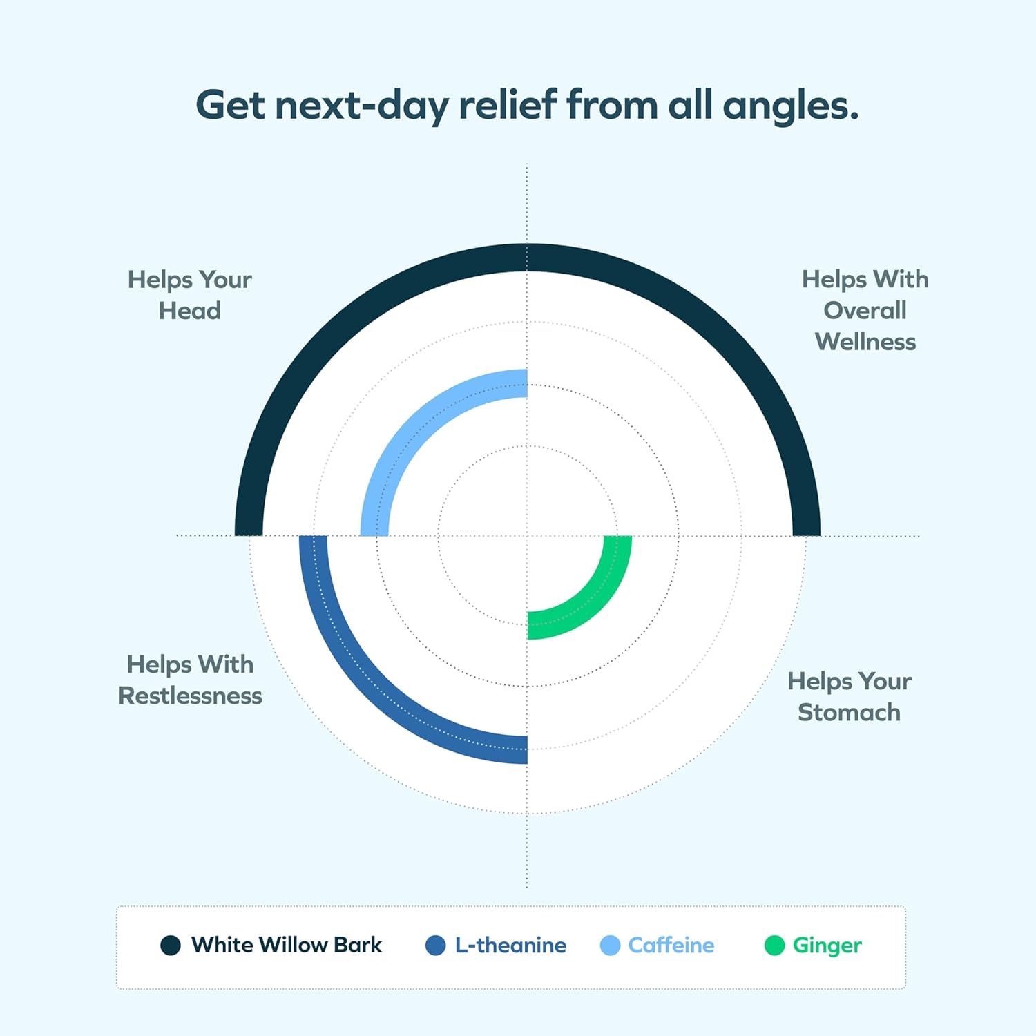 Ginger & White Willow Bark Hangover Relief | 12 Doses for Morning After | L-Theanine & Caffeine Support