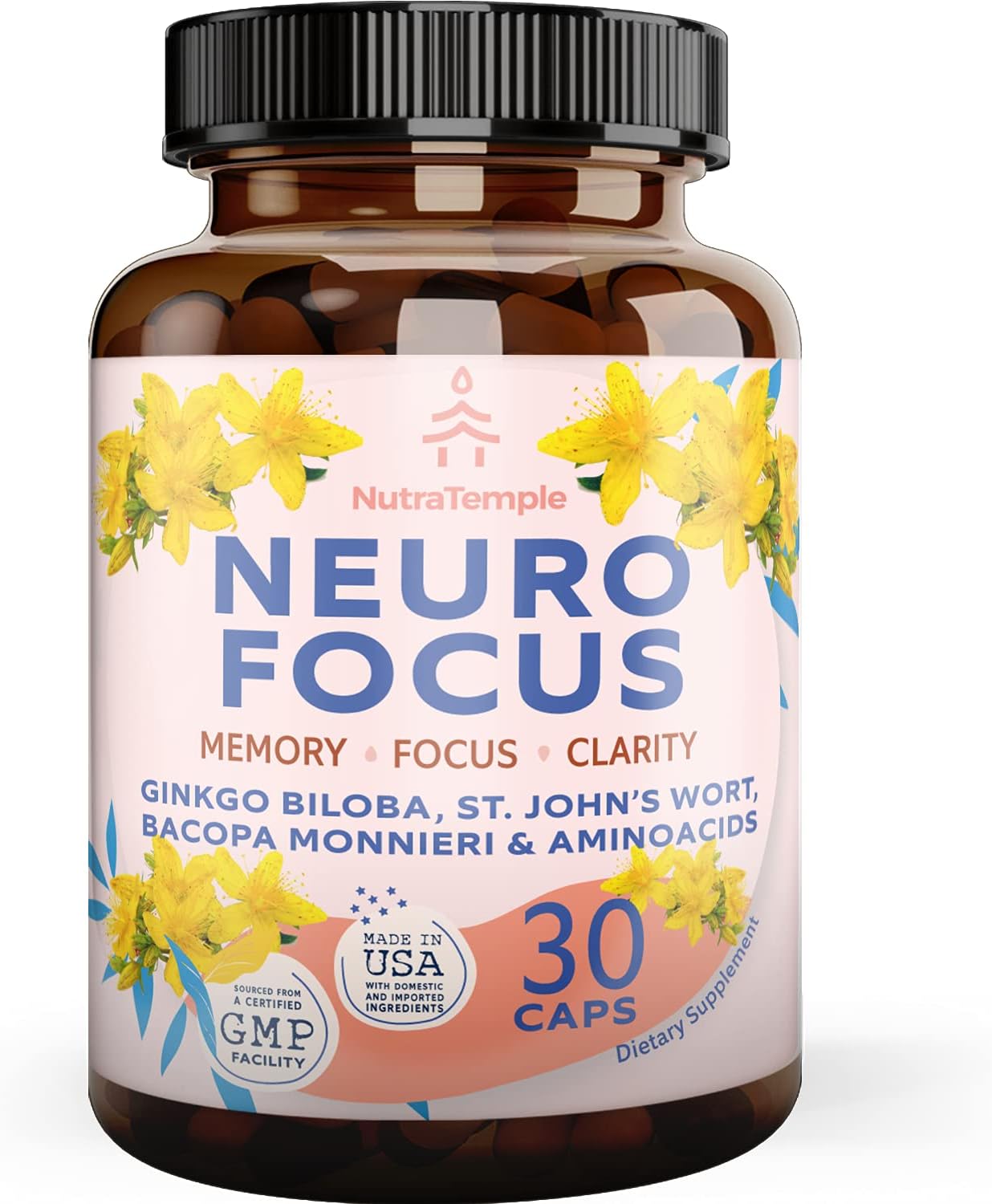 Gingko Biloba Nootropic Supplement for Memory, Focus, and Clarity with Bacopa Monnieri and St. Johns Wort - 30 Capsules