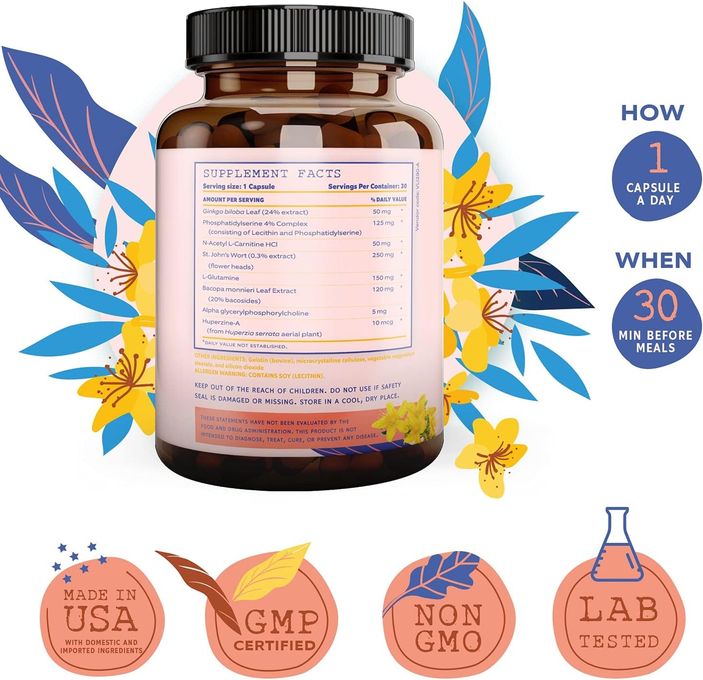 Gingko Biloba Nootropic Supplement for Memory, Focus, and Clarity with Bacopa Monnieri and St. Johns Wort - 30 Capsules