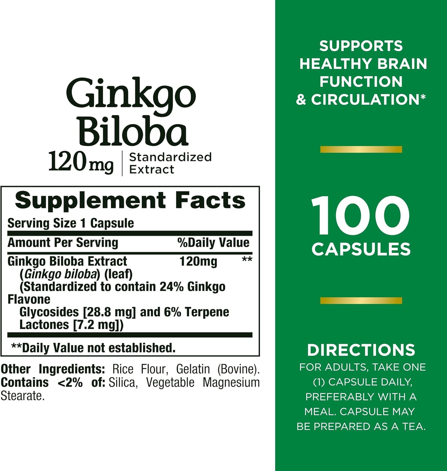Ginkgo Biloba Capsules 120mg x 100, Memory Support Supplement for Brain Function & Alertness - Pack of 3