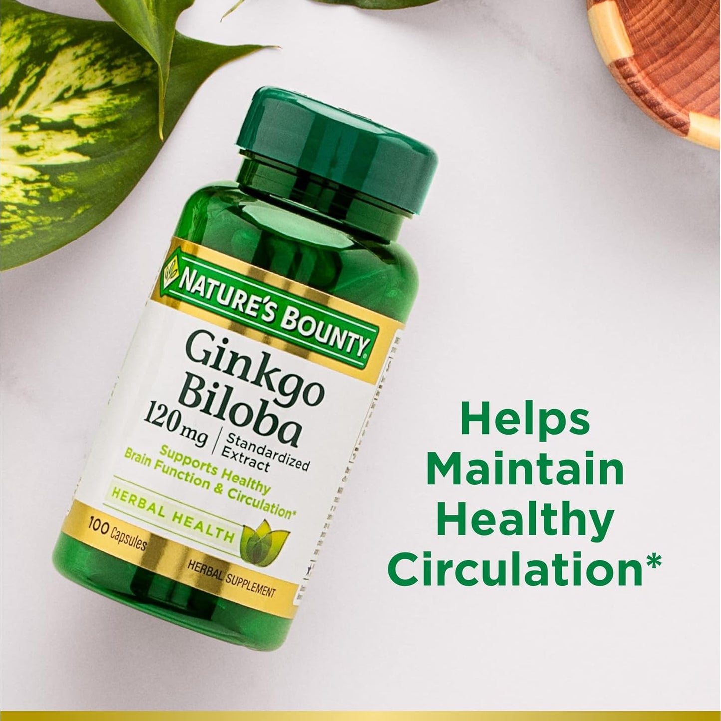 Ginkgo Biloba Capsules 120mg x 100, Memory Support Supplement for Brain Function & Alertness - Pack of 3