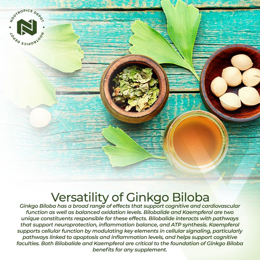 Ginkgo Biloba Extract Tablets | 120mg | 90 Count | High Kaempferol Glycoside + Bilobalide | Cognitive & Cardiovascular Support