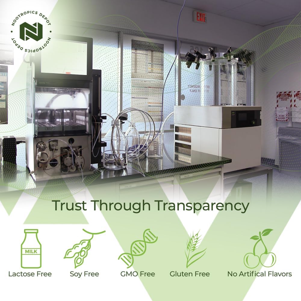 Ginkgo Biloba Extract Tablets | 120mg | 90 Count | High Kaempferol Glycoside + Bilobalide | Cognitive & Cardiovascular Support