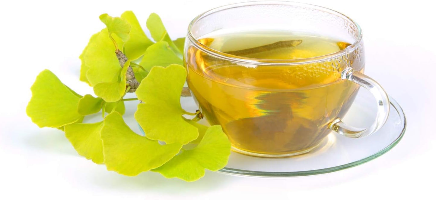 Ginkgo Biloba Leaf Herbal Tea | Health Embassy Ginkgo Biloba | 50g Leaf Tea