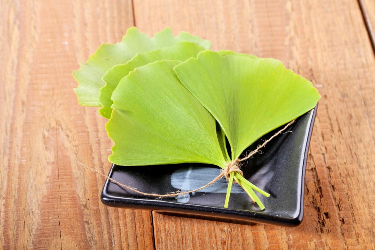 Ginkgo Biloba Leaf Herbal Tea | Health Embassy Ginkgo Biloba | 50g Leaf Tea