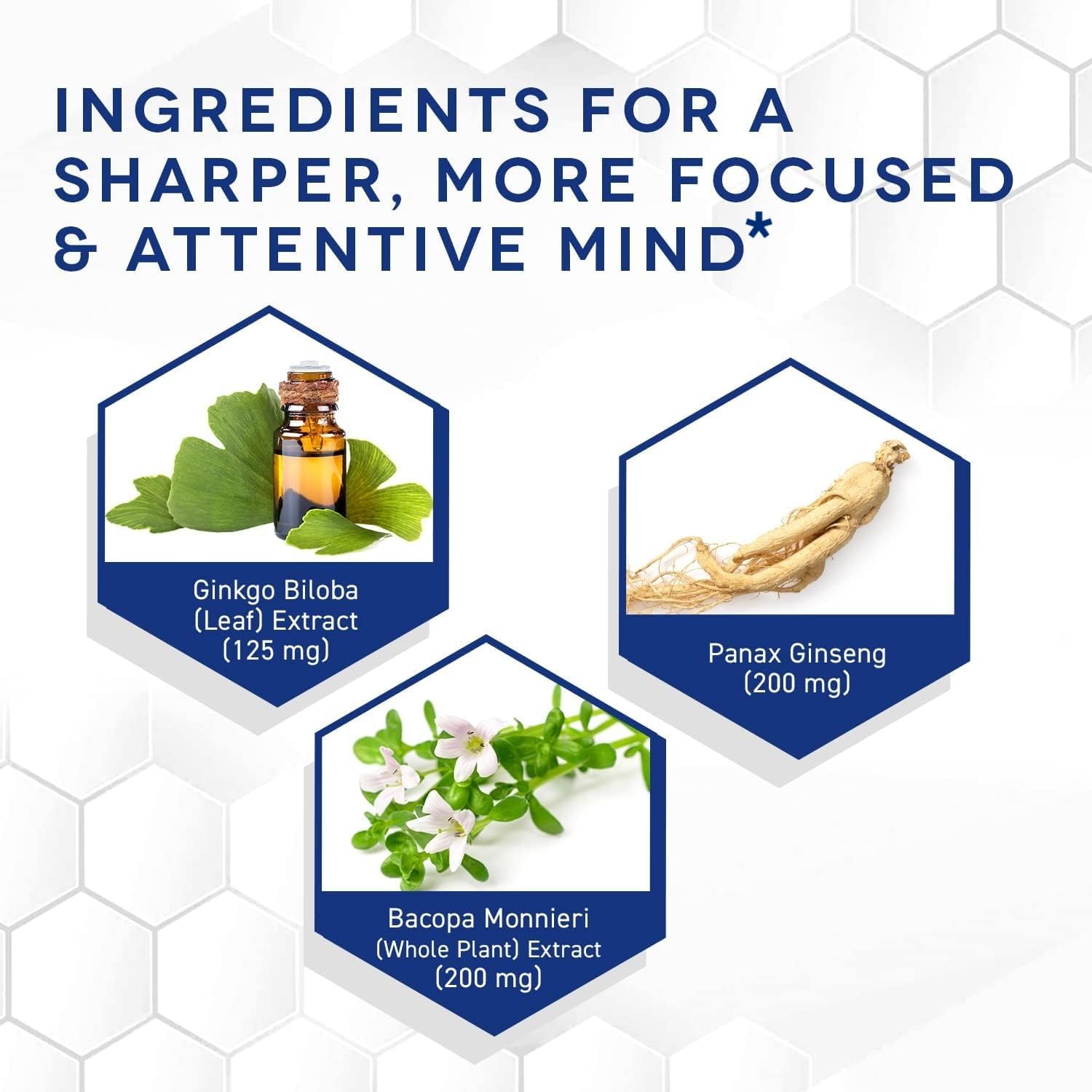 Ginkgo Biloba Supplement with Korean Ginseng & Bacopa Monnieri - Memory & Focus Brain Support - 60 Capsules