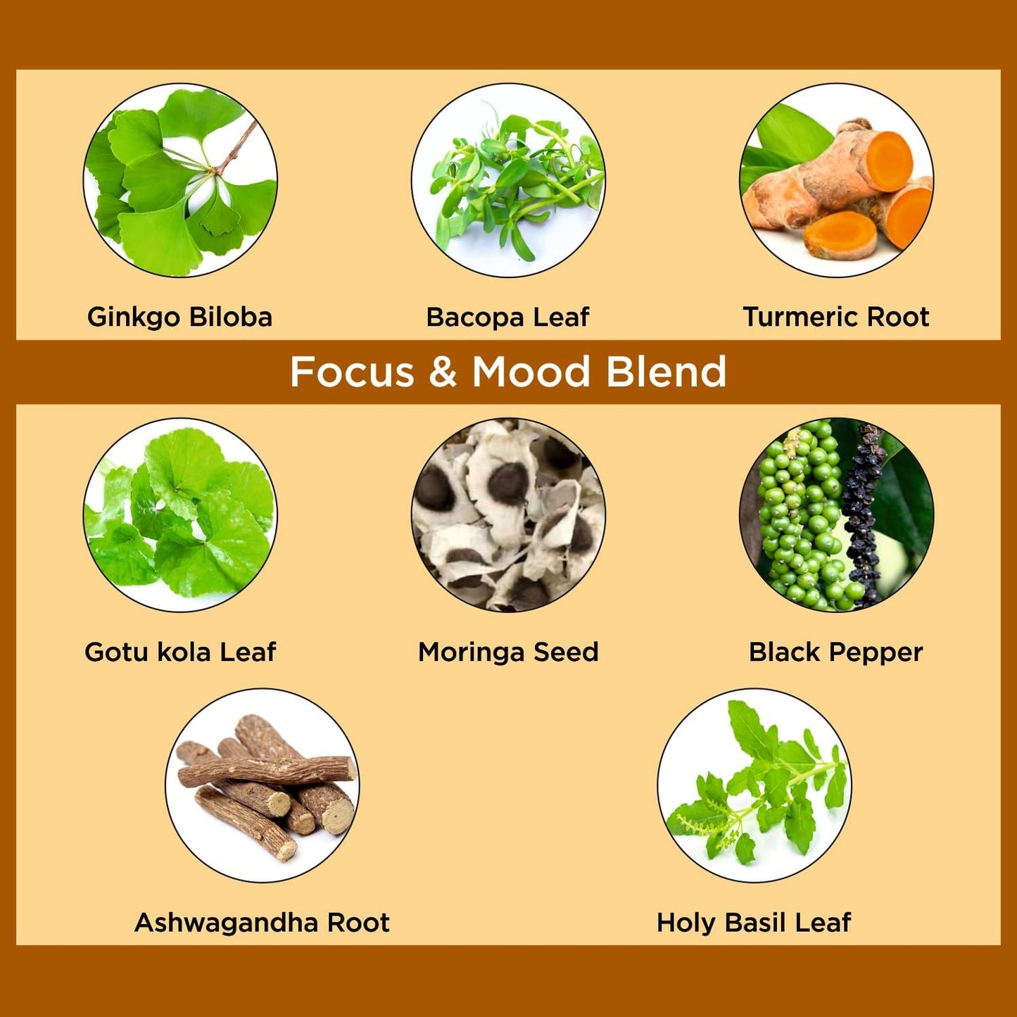 Ginkgo Biloba Turmeric Bacopa Brain Supplement with Ashwagandha - Memory, Mood & Focus Support - Vegan Capsules for Energy & Healthy Joints