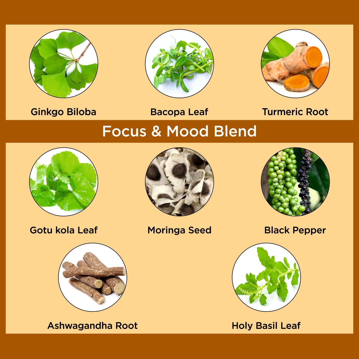 Ginkgo Biloba Turmeric Bacopa Brain Supplement with Ashwagandha - Memory, Mood & Focus Support - Vegan Capsules for Energy & Healthy Joints