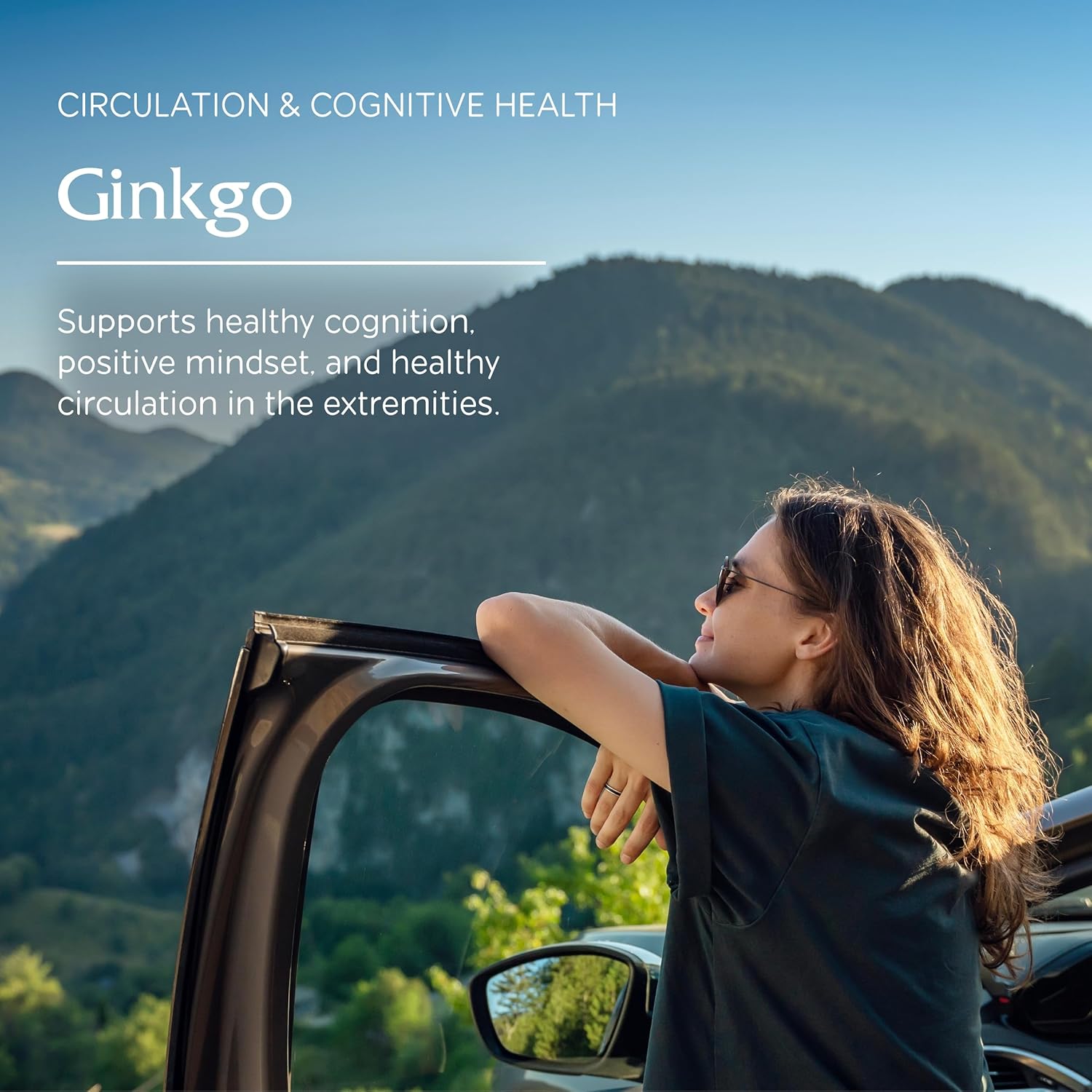 Ginkgo Leaf Herbal Supplement for Brain Health - Supports Blood Flow & Circulation in Women & Men - 90 Capsules - Vitanica