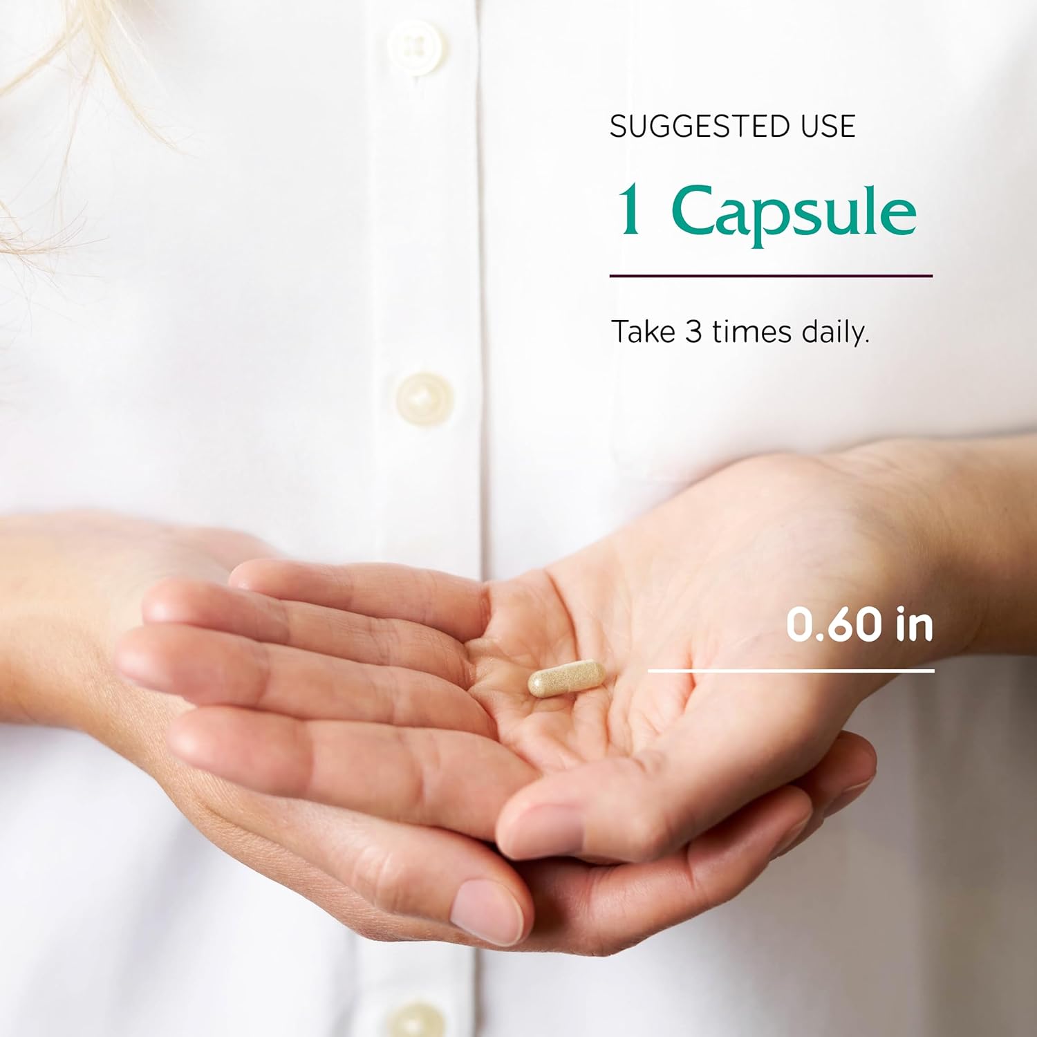 Ginkgo Leaf Herbal Supplement for Brain Health - Supports Blood Flow & Circulation in Women & Men - 90 Capsules - Vitanica