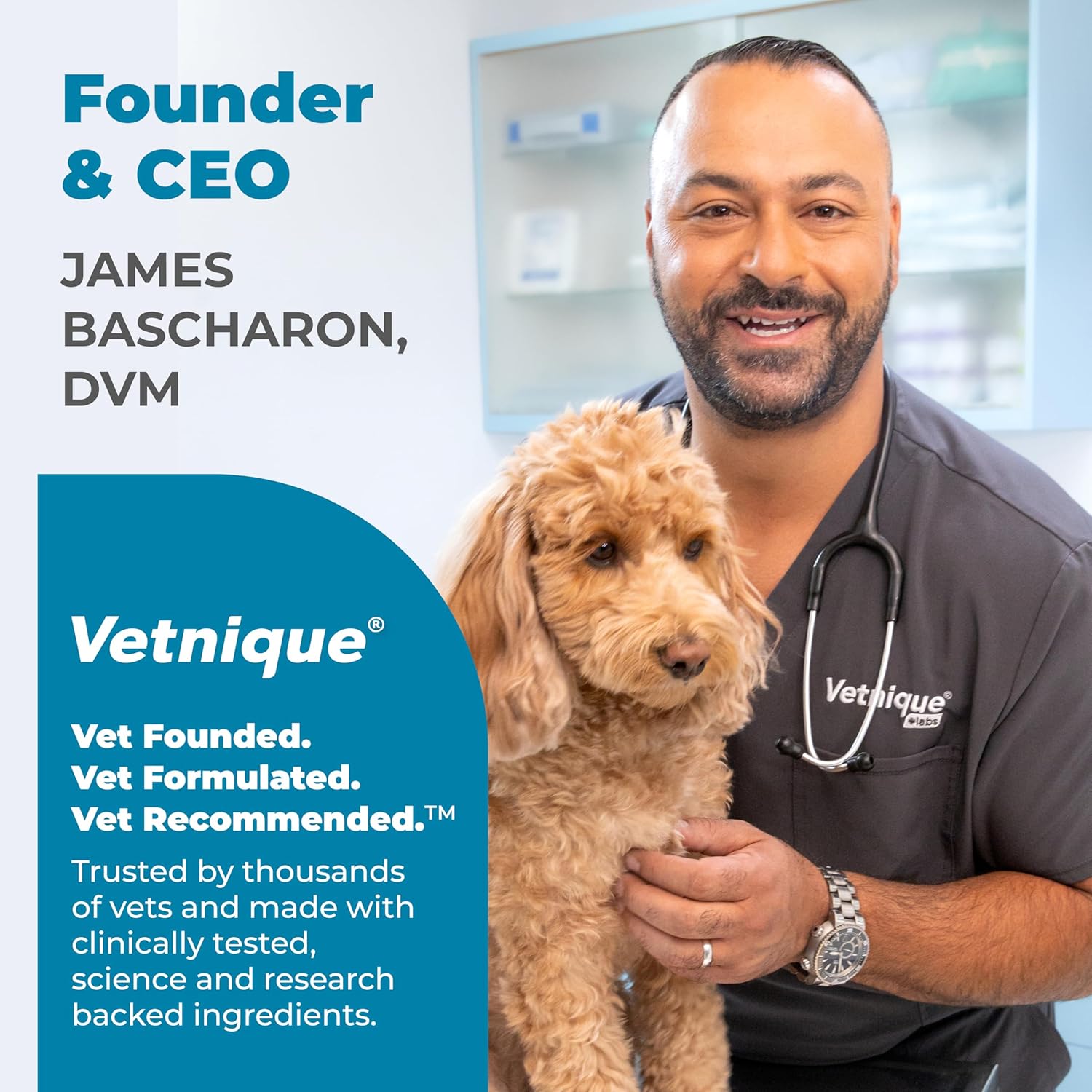 Glandex Daily Probiotic Soft Chews for Dogs - Bacon Flavored Digestive Support for Gut Health and Immune System (60 Count)