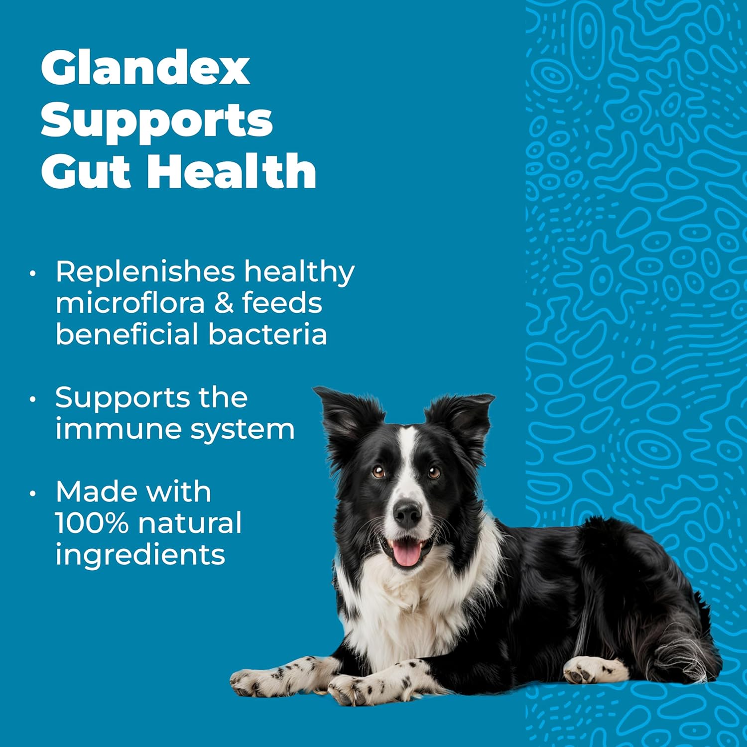Glandex Probiotic Soft Chews for Dogs - Daily Gut Health & Immune Support - Bacon Flavor - 120 Count