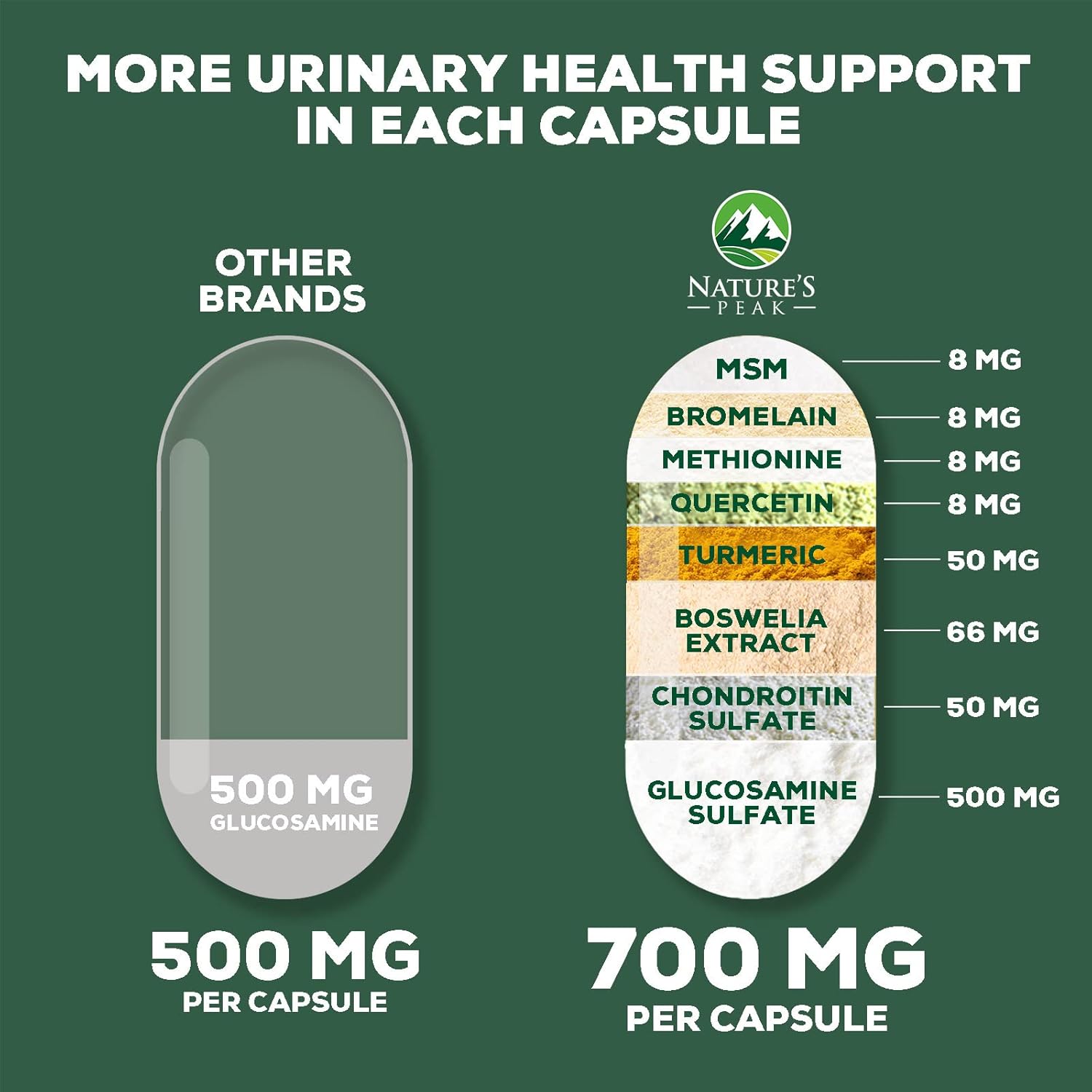 Glucosamine Chondroitin MSM Complex with Turmeric & Boswellia for Joint Support - Antioxidant Formula for Mobility & Occasional Discomfort - 60 Capsules