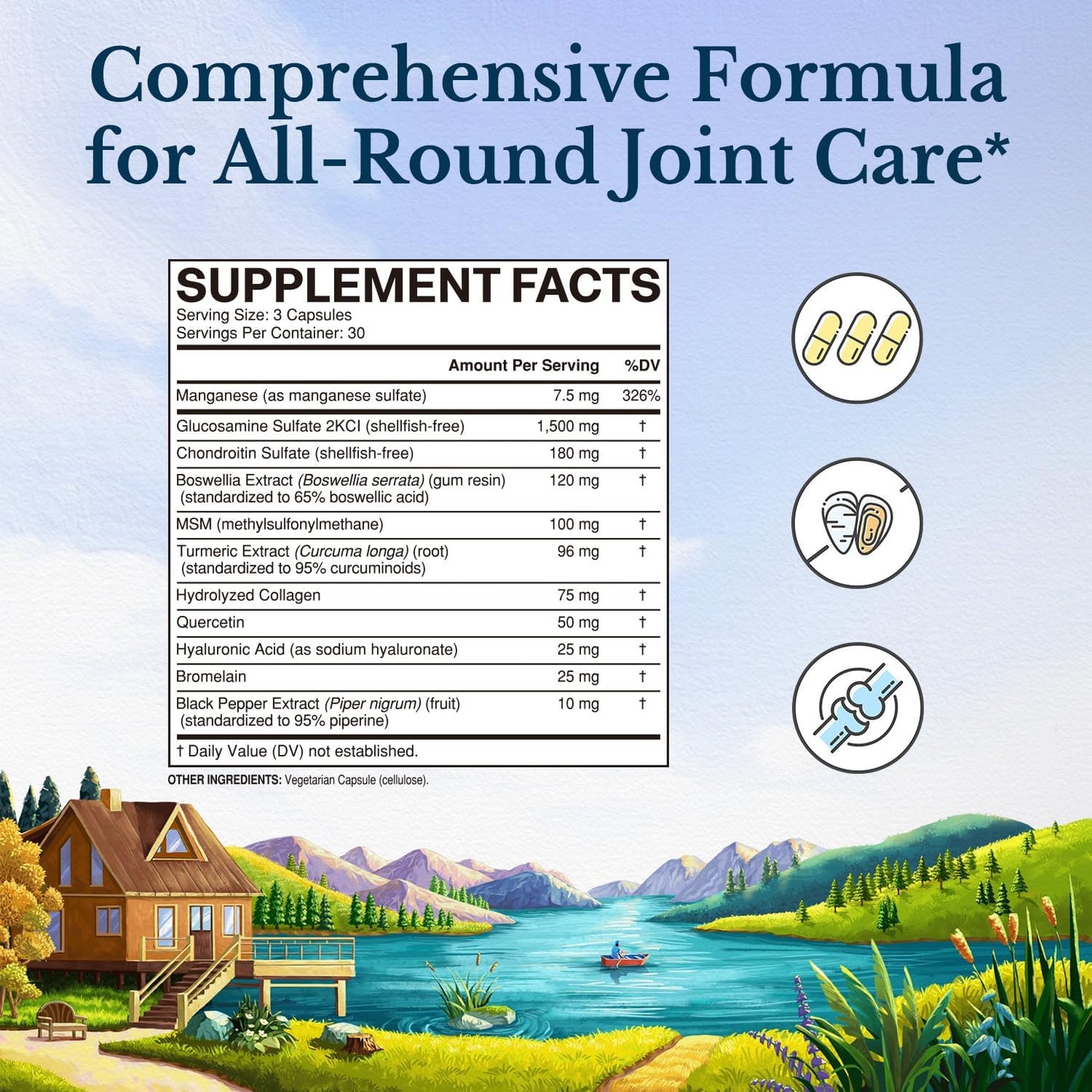 Glucosamine Chondroitin MSM Turmeric Collagen HA Boswellia Quercetin Bromelain 11-in-1 Joint Formula 90 Capsules