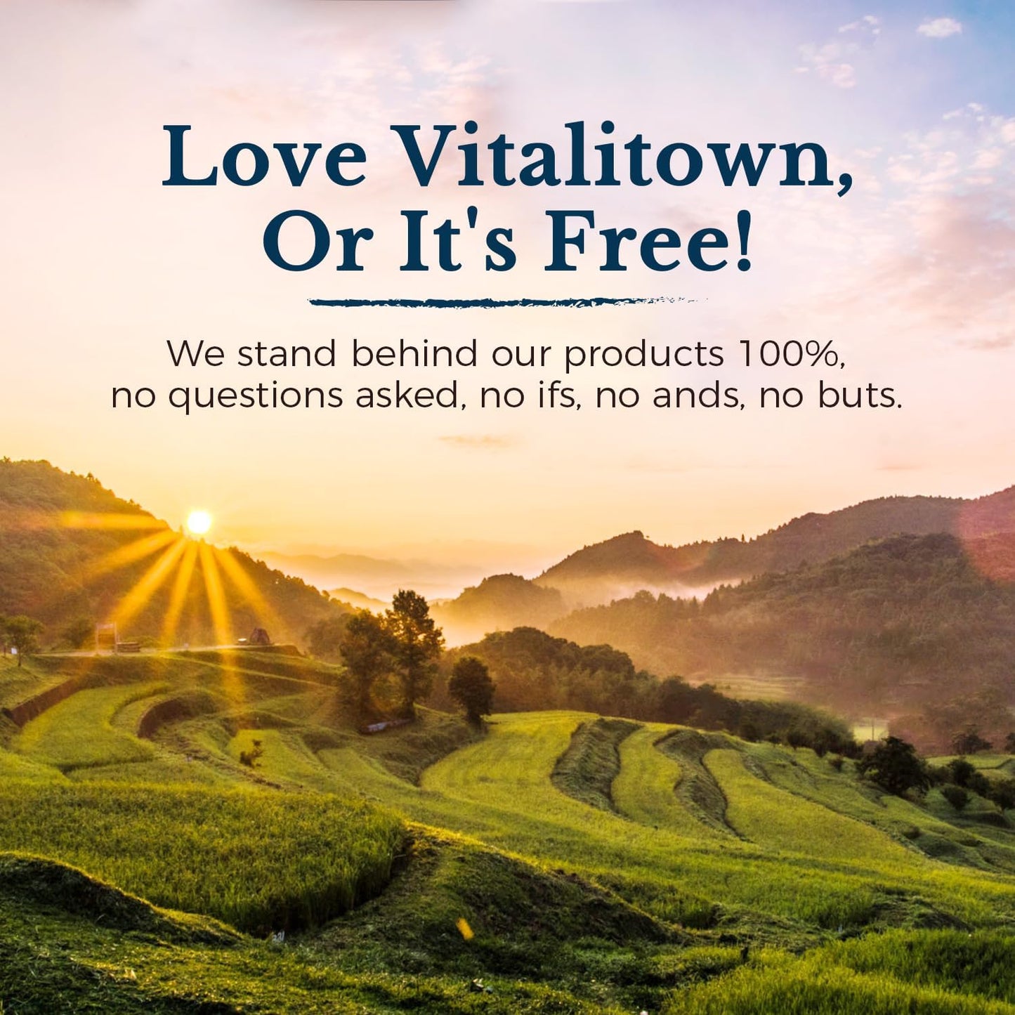 Glucosamine Chondroitin MSM Turmeric Collagen HA Boswellia Quercetin Bromelain 11-in-1 Joint Formula 90 Capsules