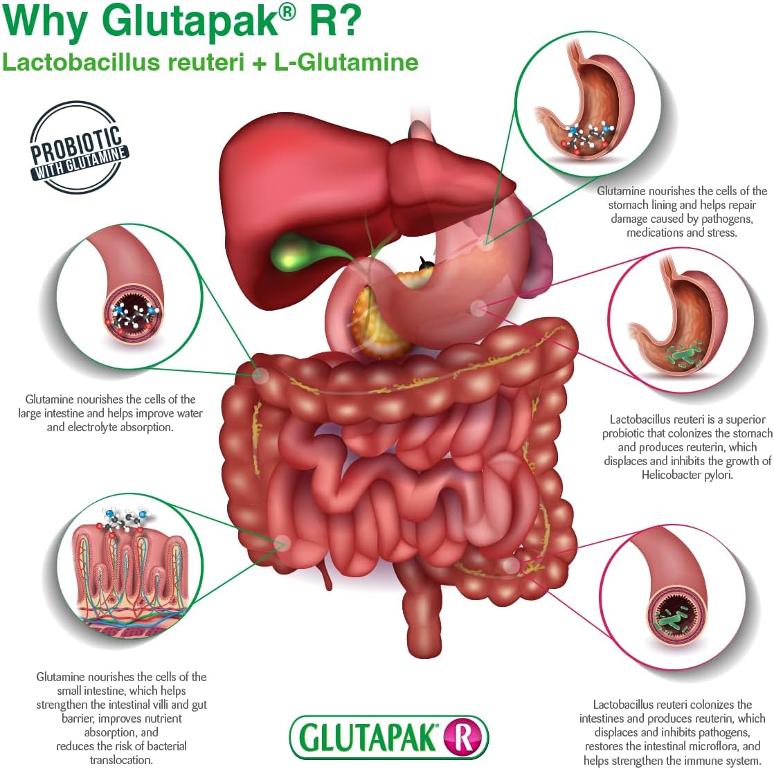 Glutapak R Probiotics: 15g per Packet with Glutamine and Lactobacillus Reuteri - 3 Packets