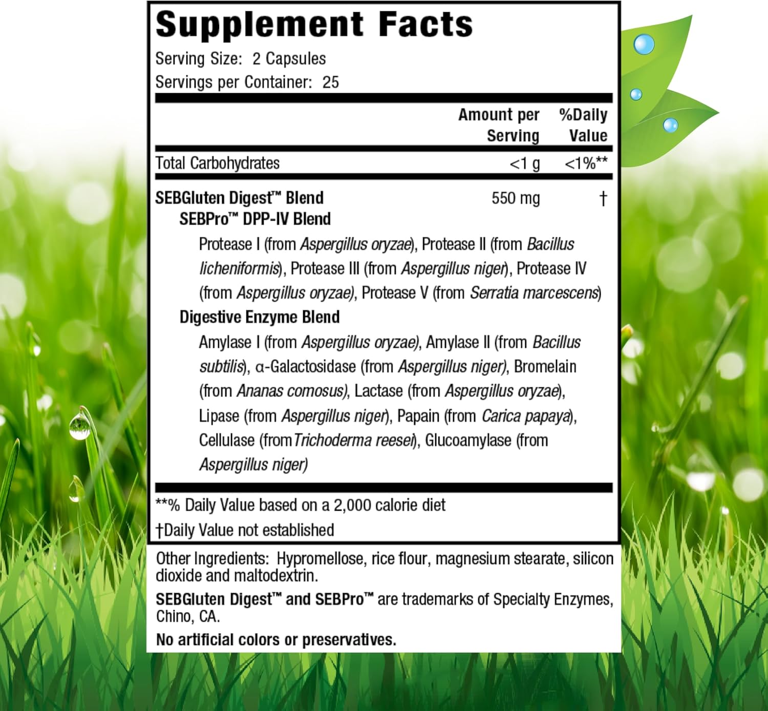 Gluten & Dairy Digestive Aid Capsules - Natural Solution for Breaking Down Wheat Protein & Milk Lactose - 50 Capsules