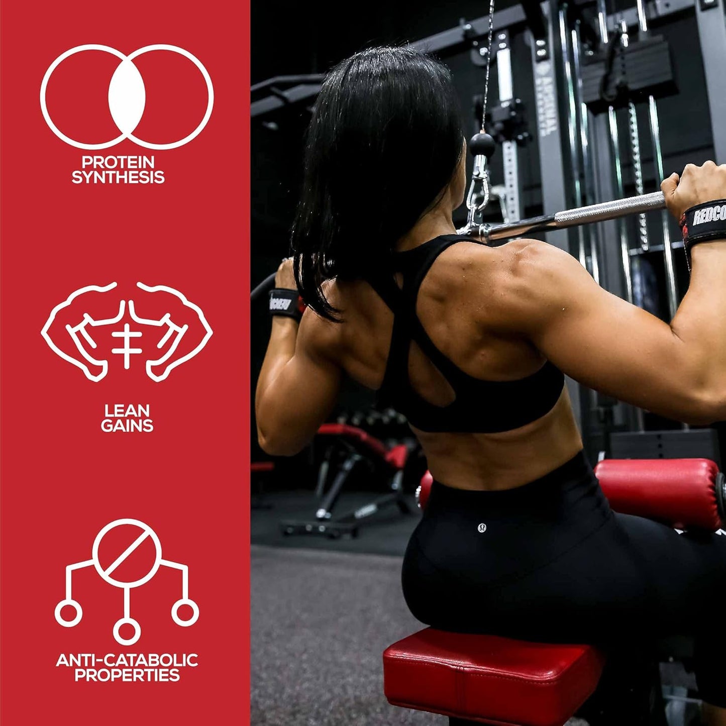 Gluten Free Keto Friendly Muscle Building Supplement with Chinese Smilax Root Extract - 60 Capsules