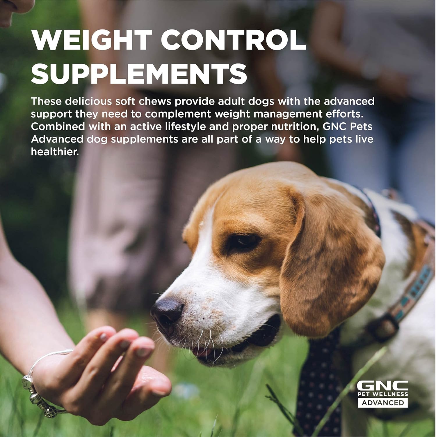 GNC Pets Advanced Weight Support Soft Chews for Adult Dogs - 90 Ct Chicken Flavor Weight Management Supplement