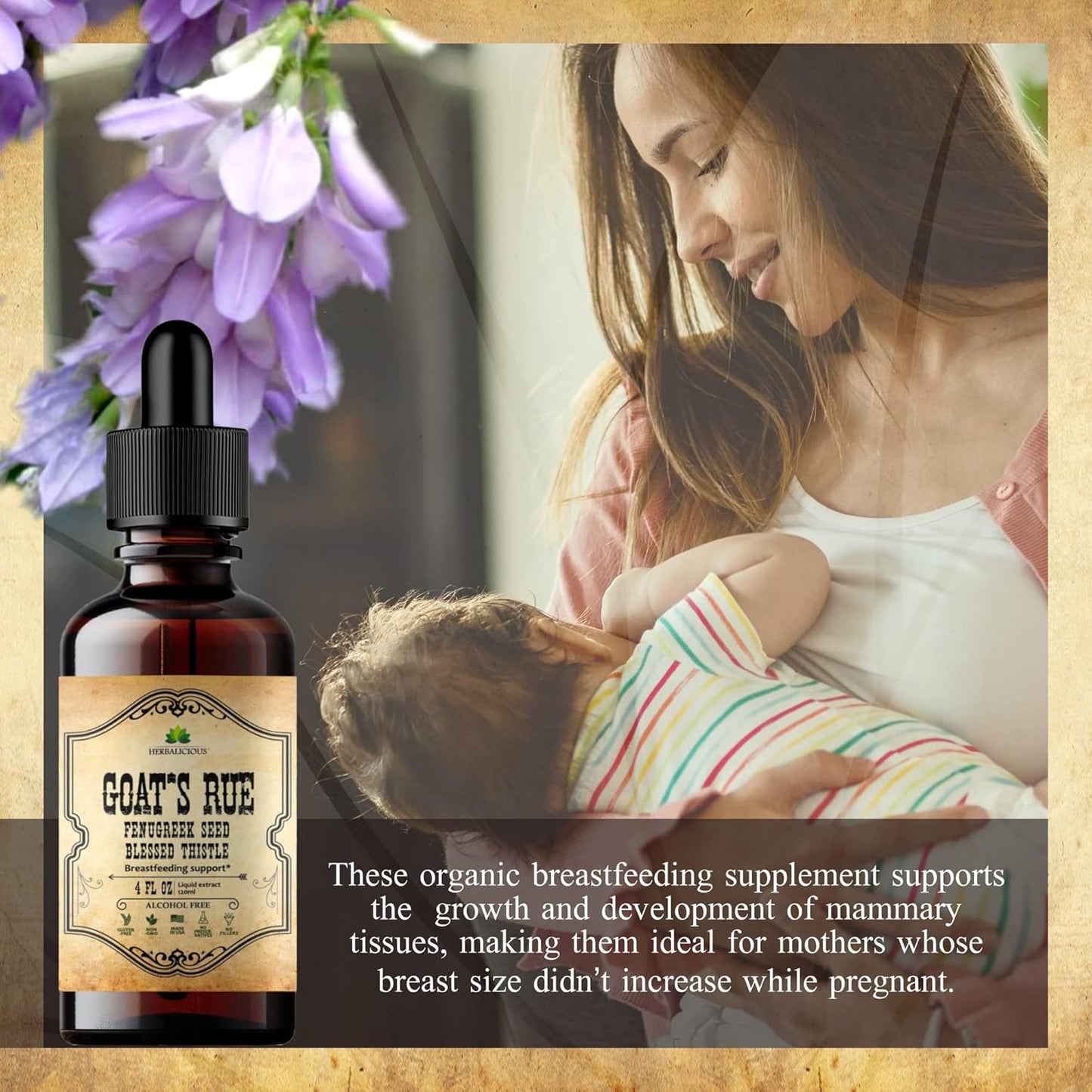 Goat's Rue Liquid Extract - Herbal Tincture for Lactation Support - Alcohol Free Non-GMO Supplement - 4 fl oz