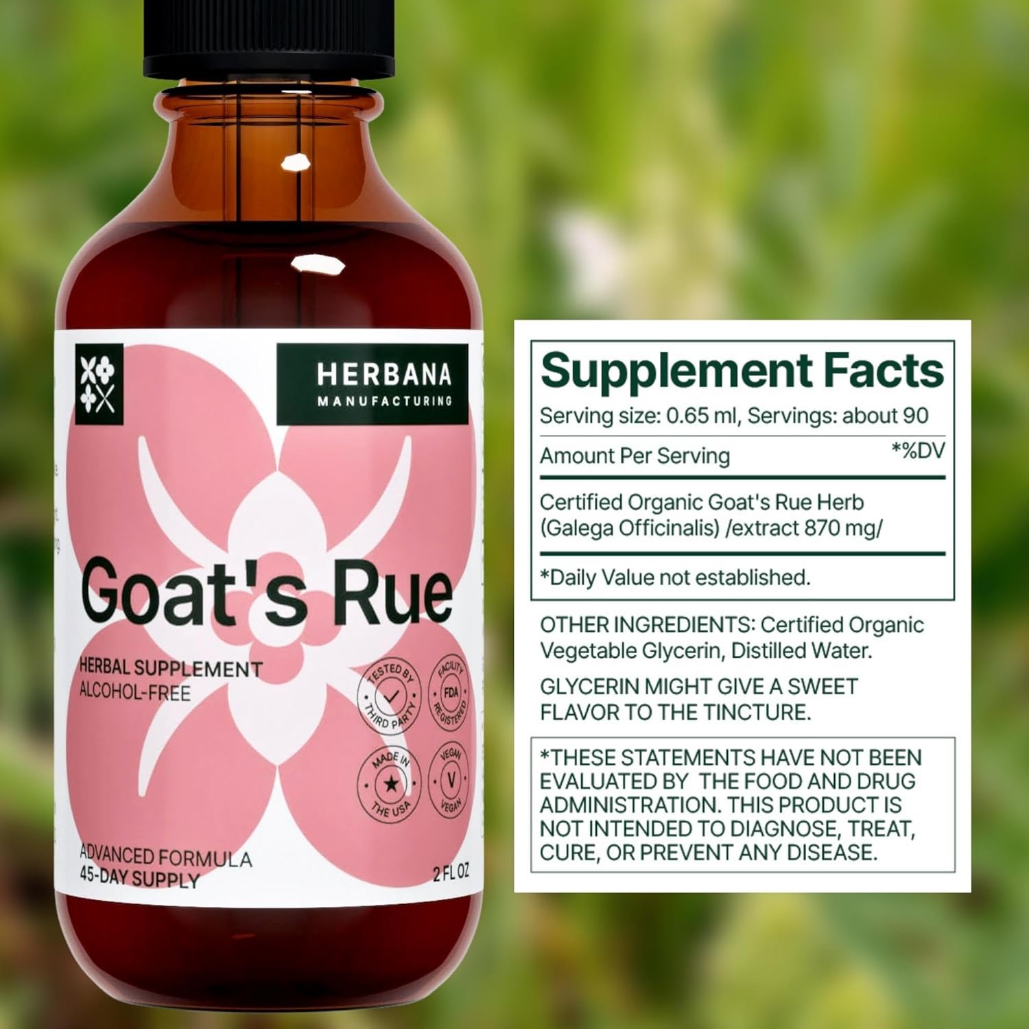 Goat's Rue Liquid Extract - Lactation Supplement for Breast Milk Production - Galega Officinalis Tincture - 2 fl oz