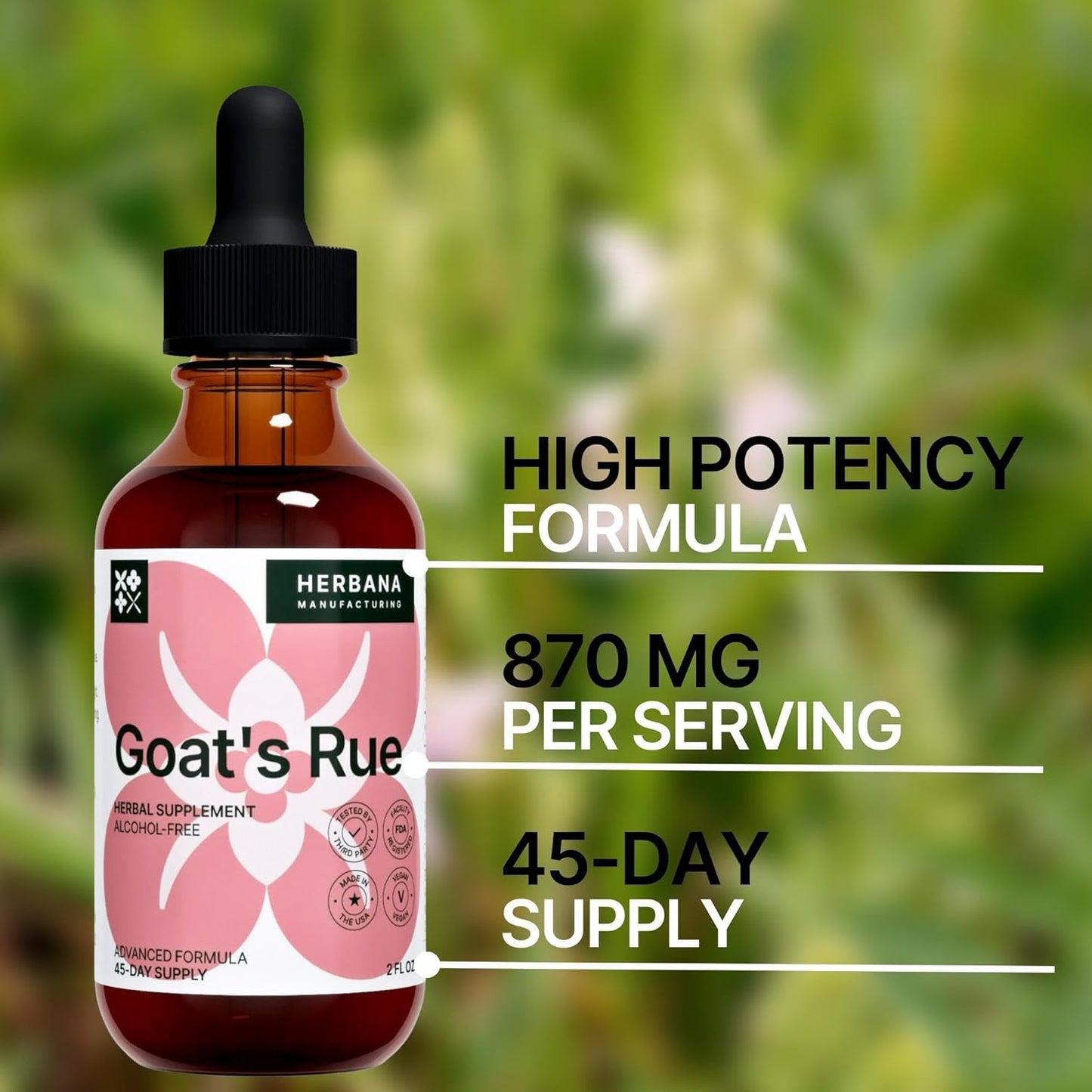 Goat's Rue Liquid Extract - Lactation Supplement for Breast Milk Production - Galega Officinalis Tincture - 2 fl oz