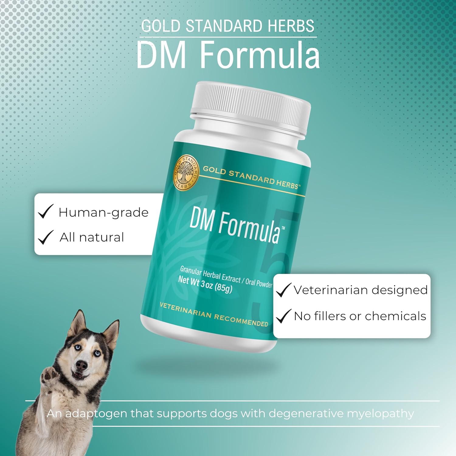 Gold Standard Herbs DM Formula: Natural Relief for Dogs with Degenerative Myelopathy, 85g Herbal Extract Powder