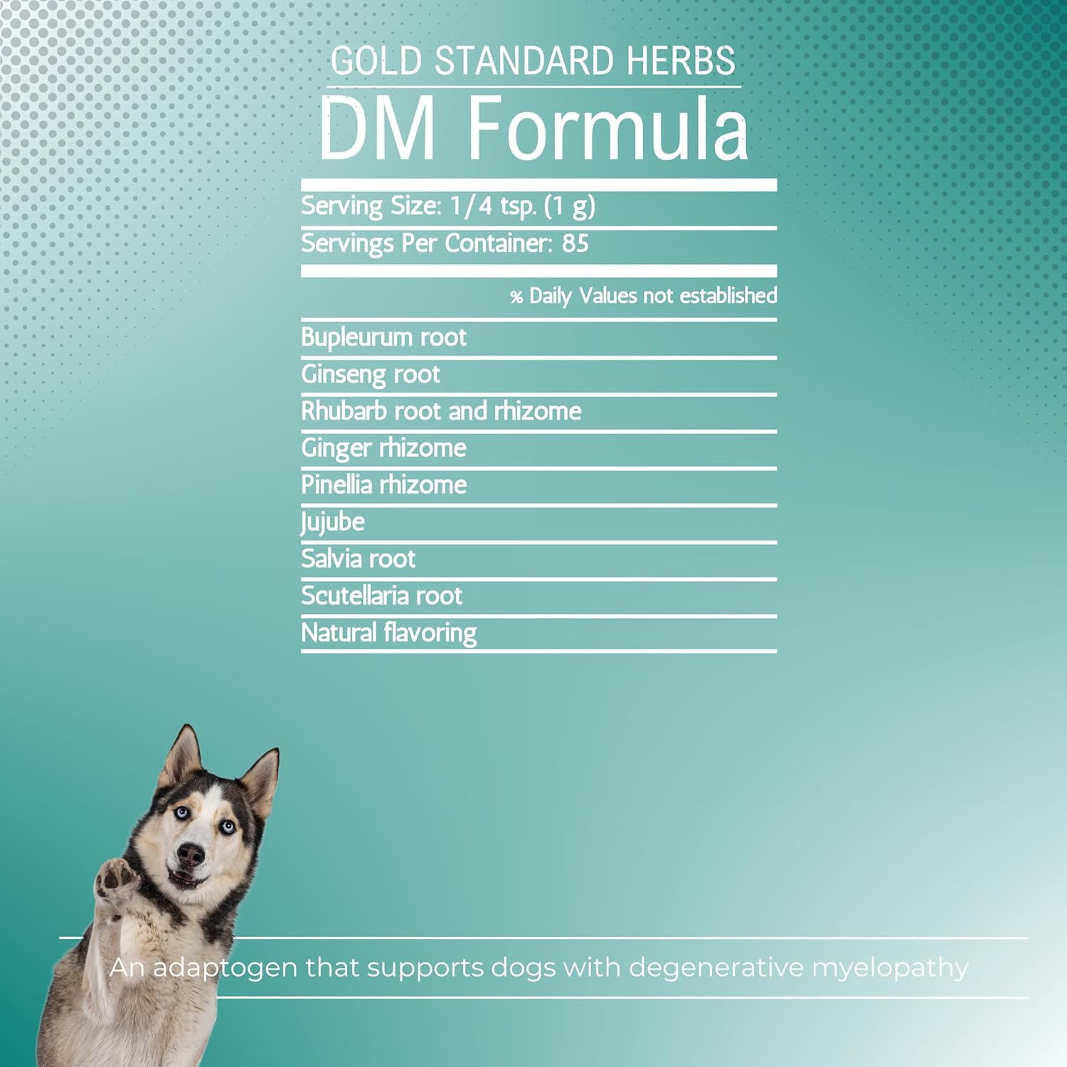 Gold Standard Herbs DM Formula: Natural Relief for Dogs with Degenerative Myelopathy, 85g Herbal Extract Powder