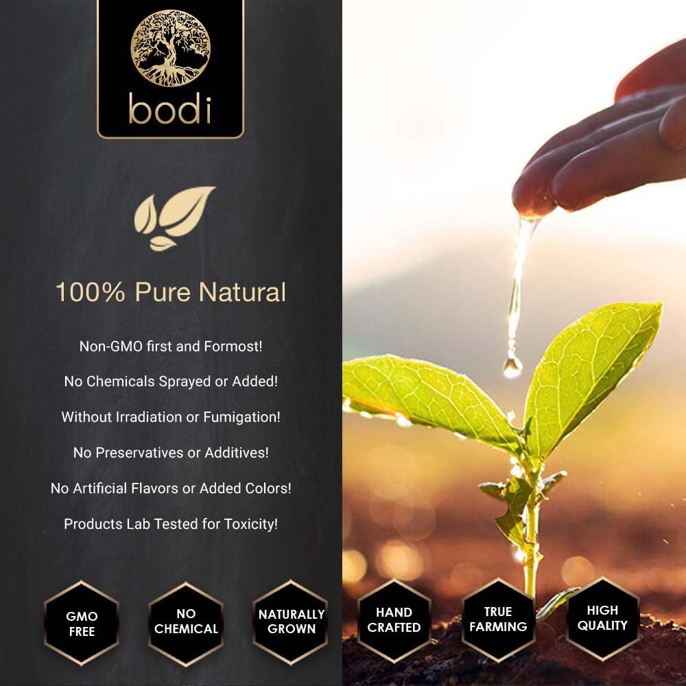Goldenseal Root 5:1 Extract Powder - 100% Pure Natural Hand Crafted (4 oz) by Bodi