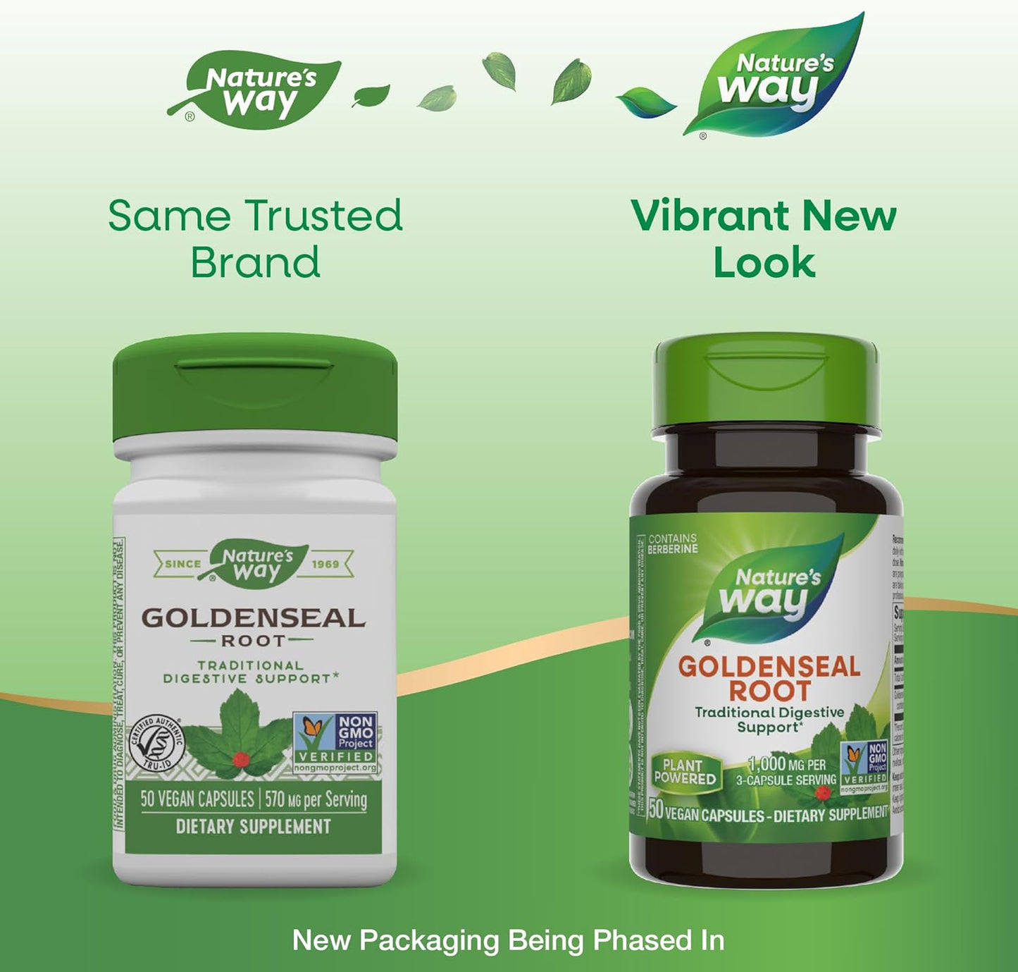 Goldenseal Root Capsules - Traditional Digestive Support with Berberine, Non-GMO, Vegan - 50ct