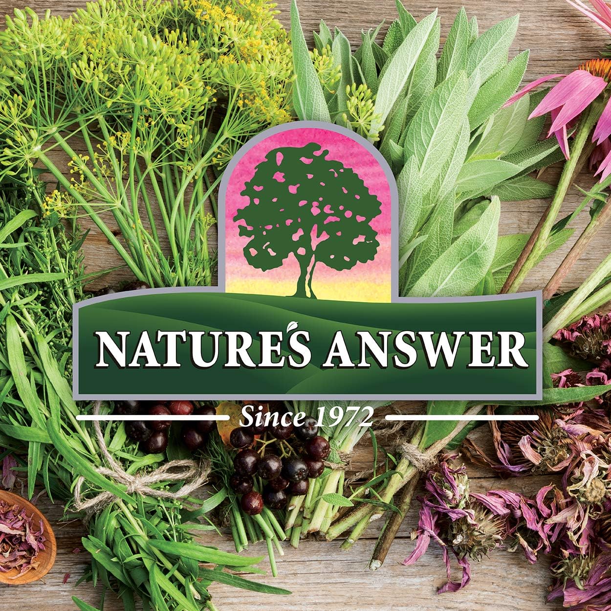 Goldenseal Root Herbal Supplement for a Healthy Immune System - Gluten-Free & Alcohol-Free (2 Pack, 1oz) by Nature's Answer
