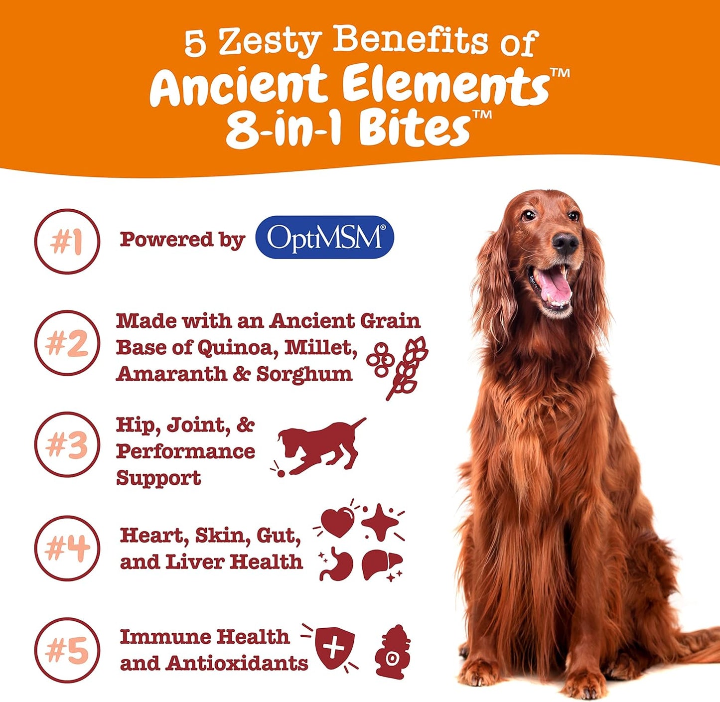 Grain-Free Dog Multivitamin Treats with Glucosamine Chondroitin, Probiotics, and Digestive Enzymes for Joint, Skin, and Immune Health - 90 Count