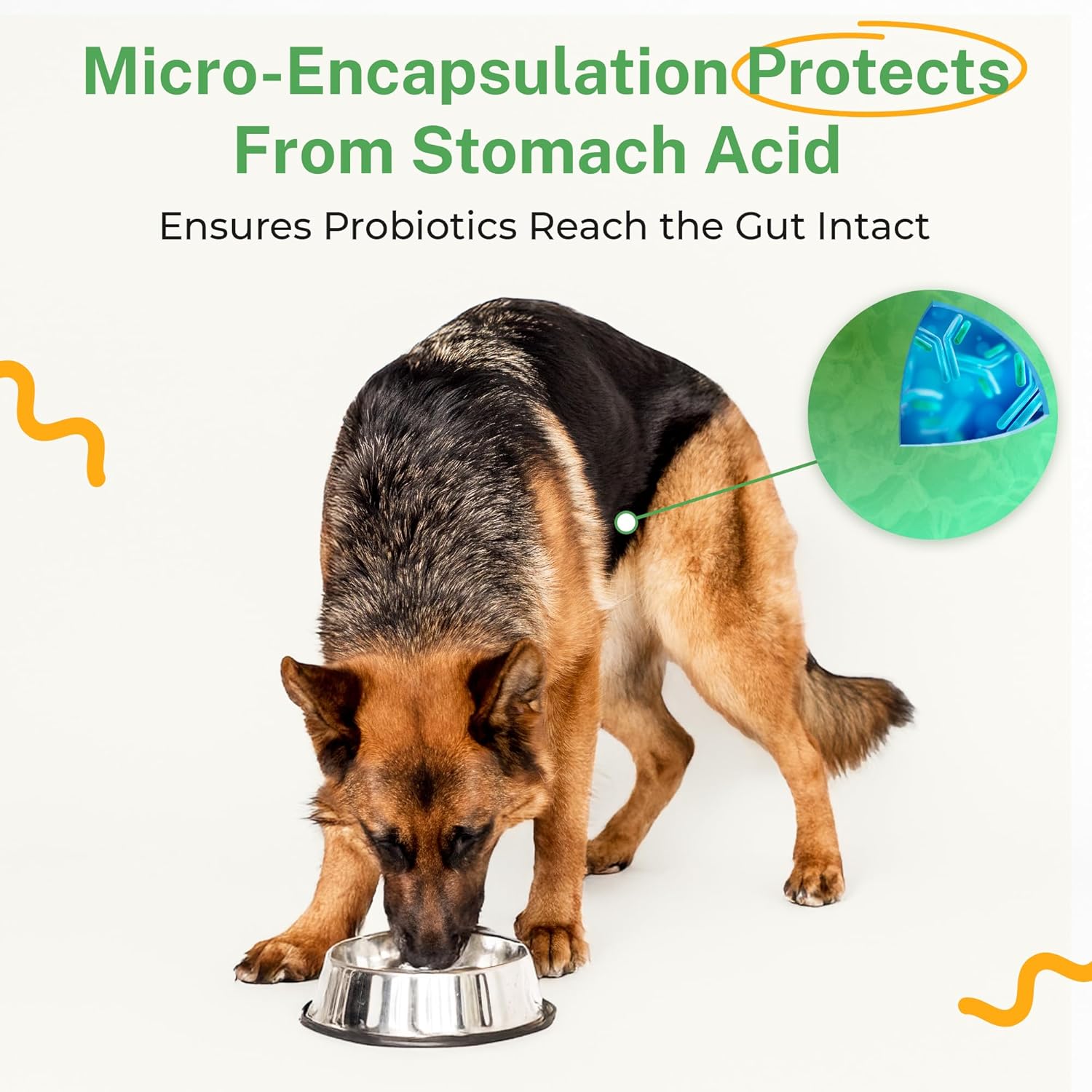 Grain-Free Probiotic Powder for Dogs - Supports Digestive Health, Immunity & Oral Care - Reduces Allergies, Paw Licking & Yeast Infections - 5.4 oz - 90 Servings